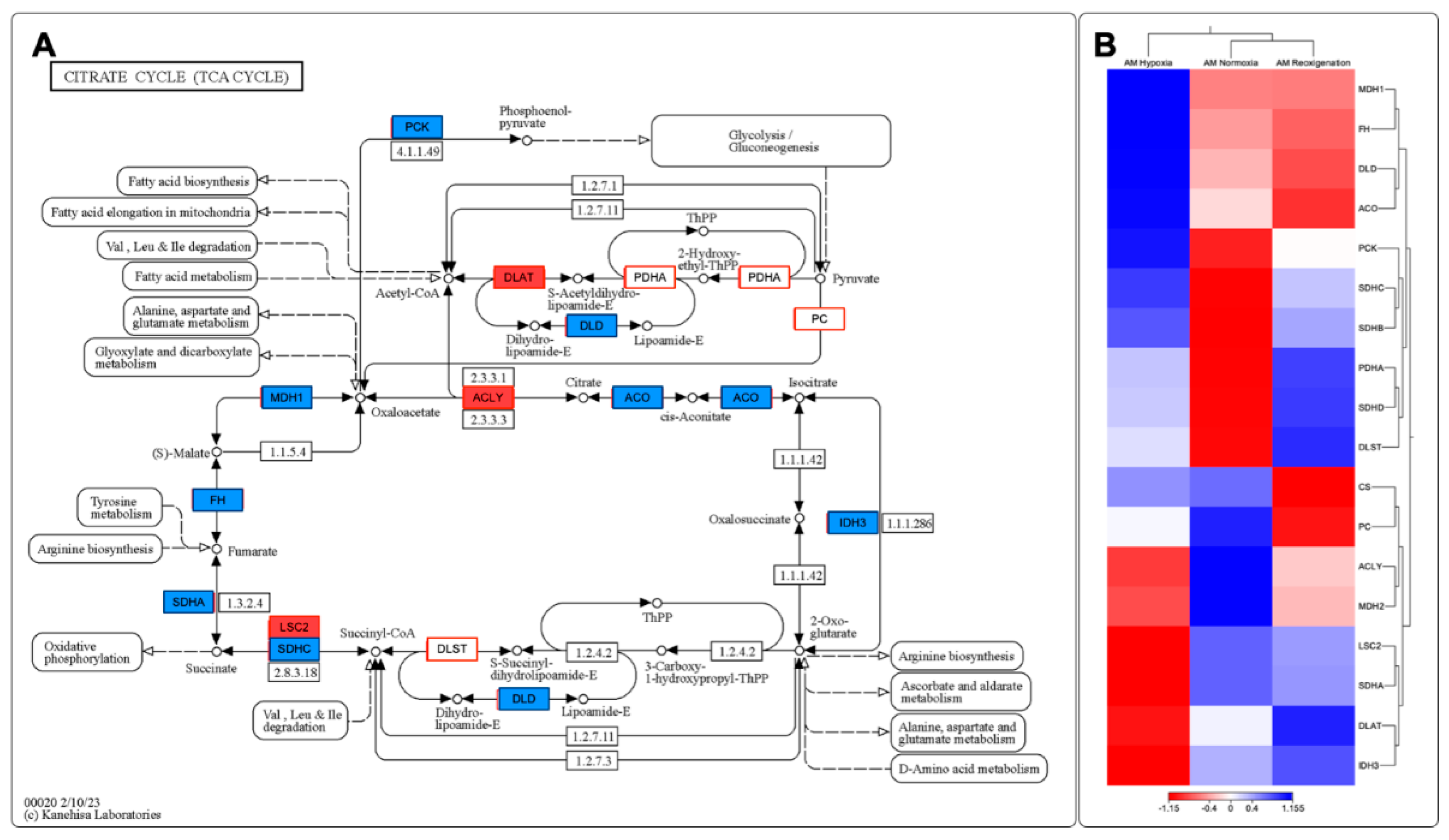 Preprints 102637 g011