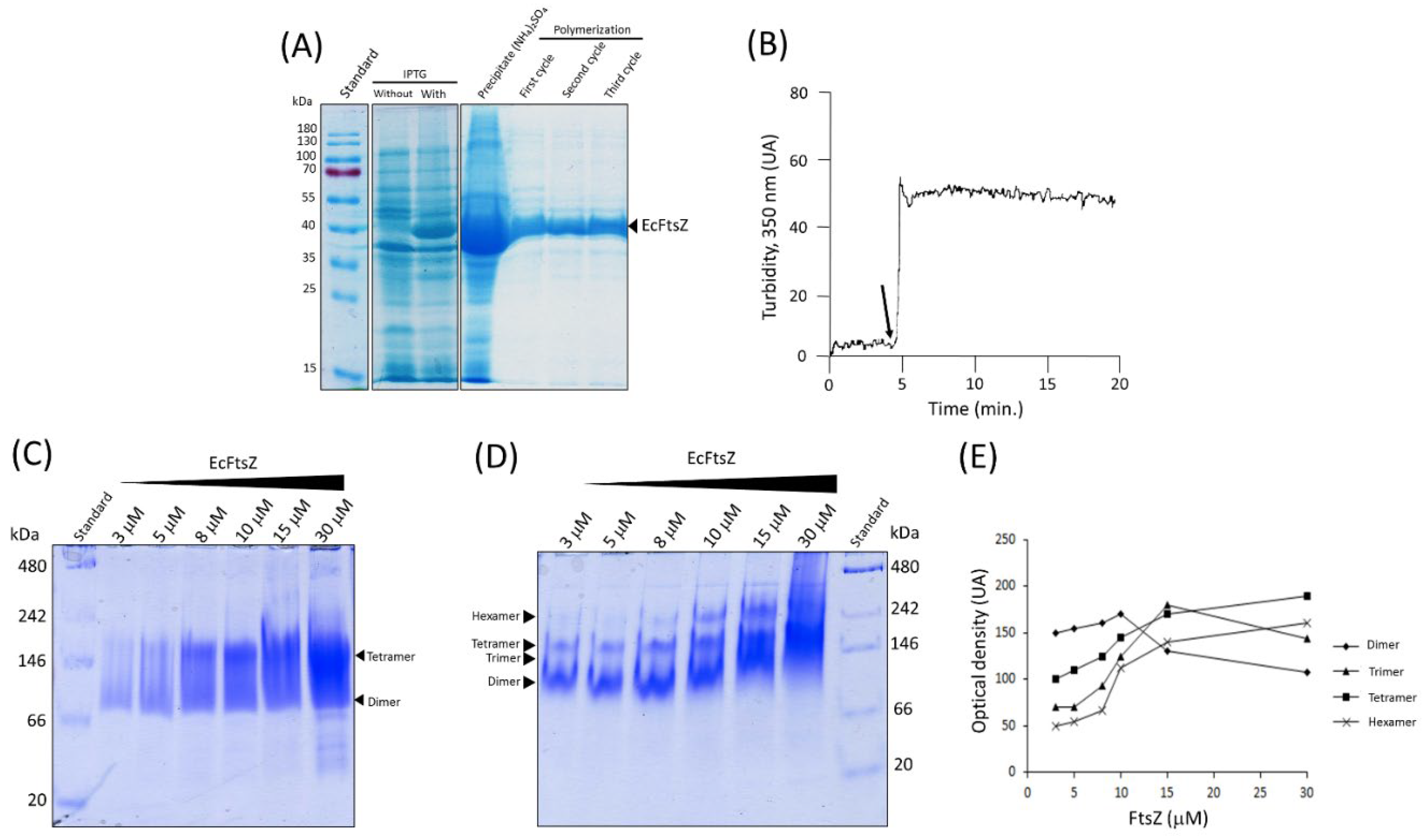 Preprints 116079 g001