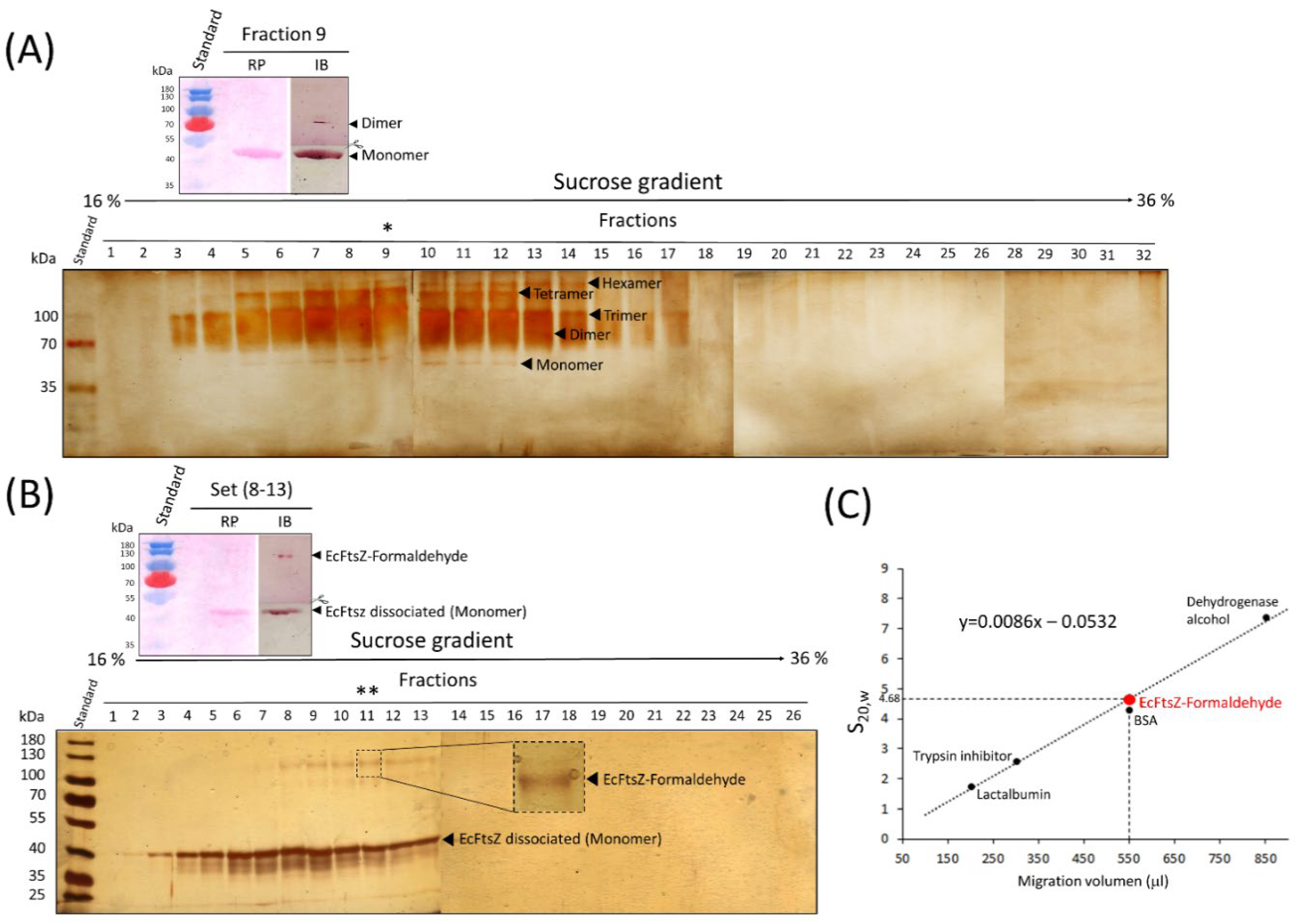 Preprints 116079 g003