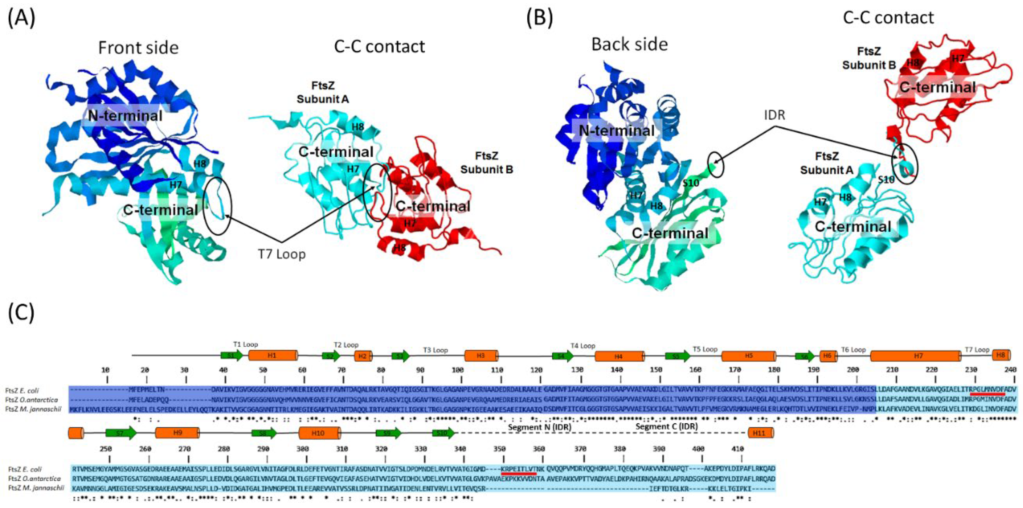 Preprints 116079 g004