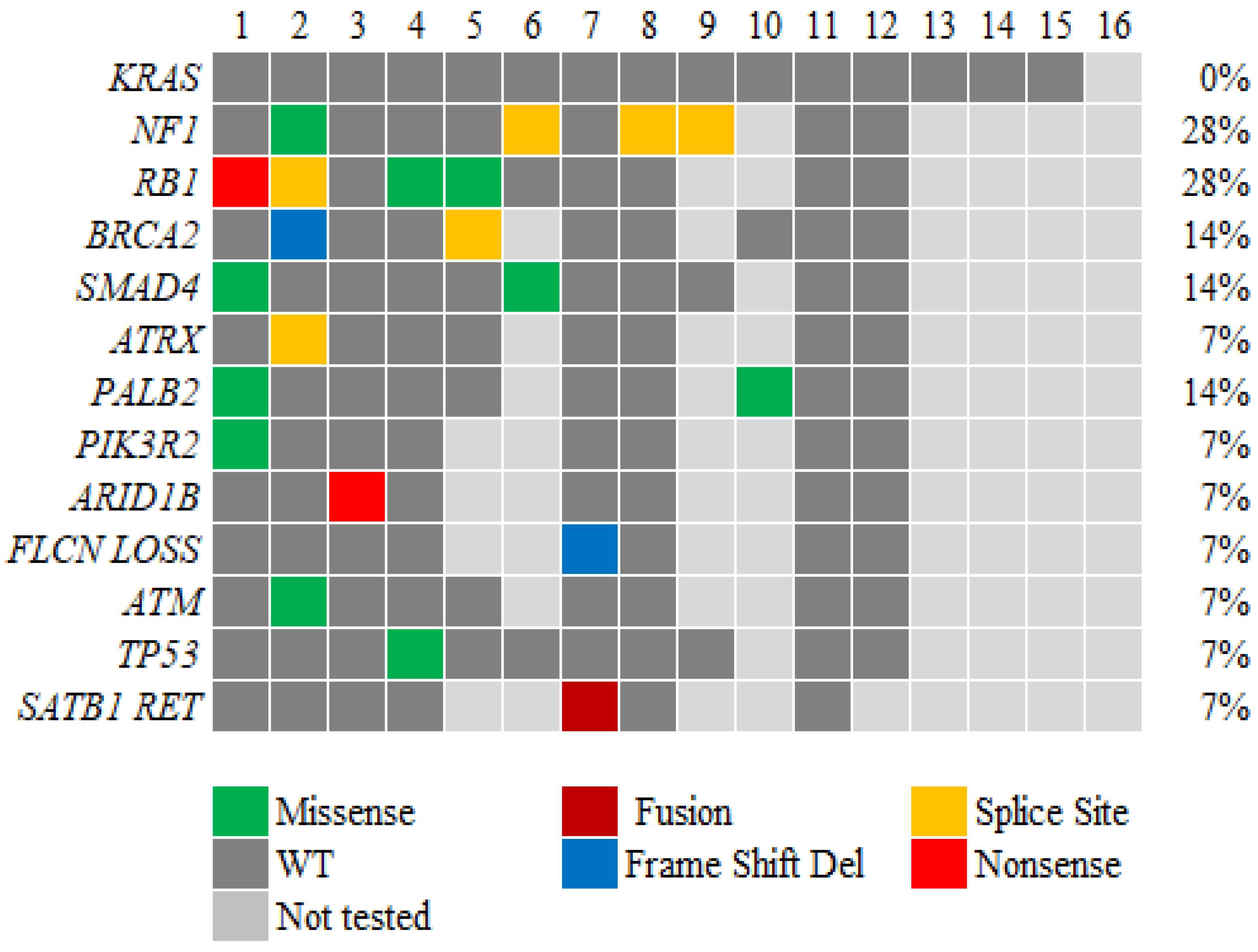 Preprints 115805 g001