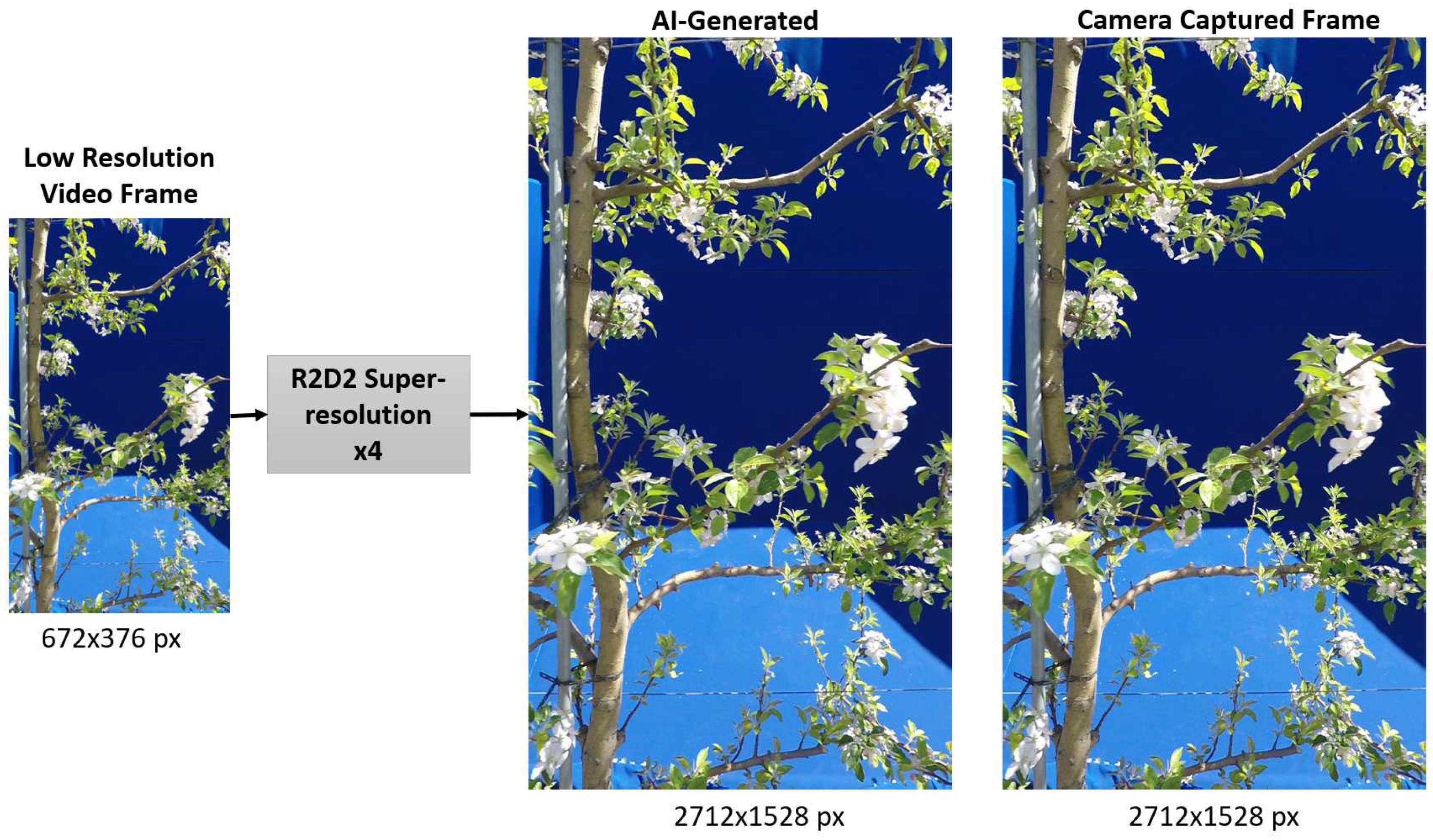 Preprints 77618 g003