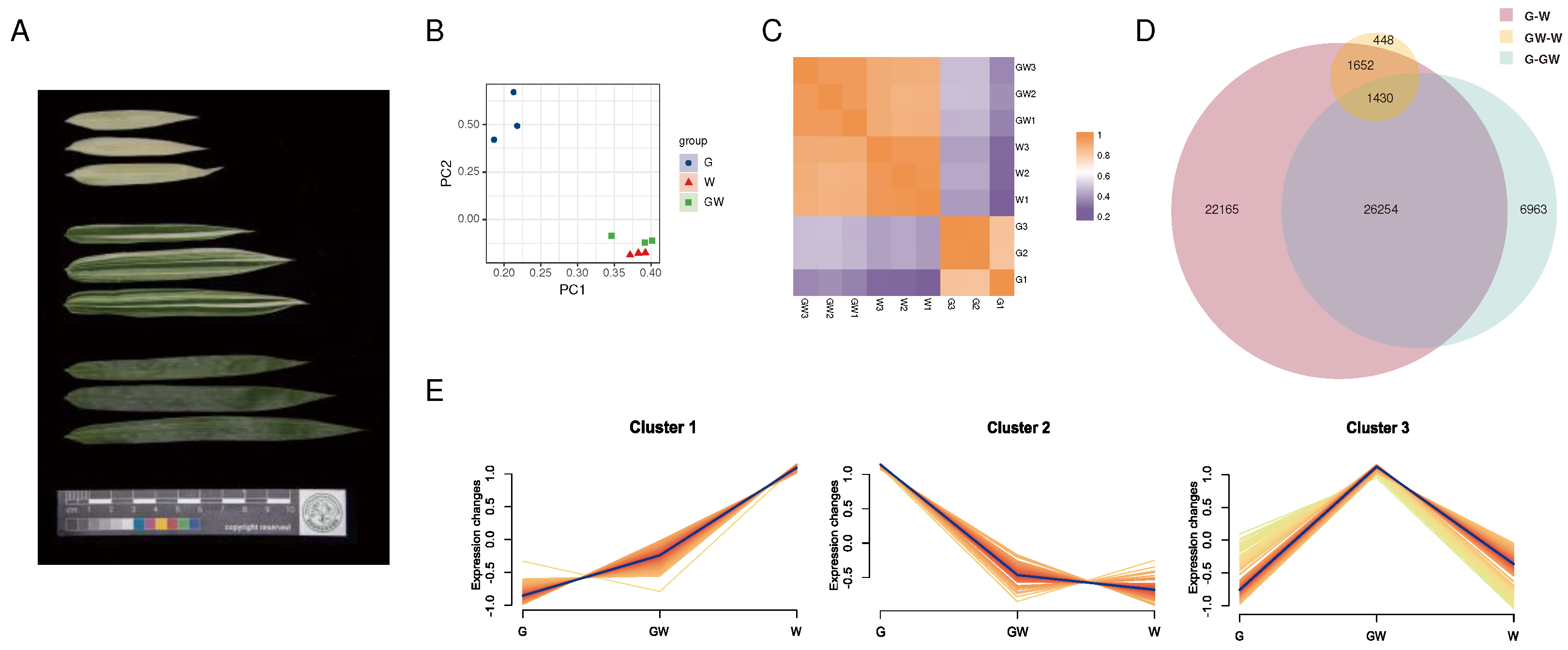 Preprints 94601 g001