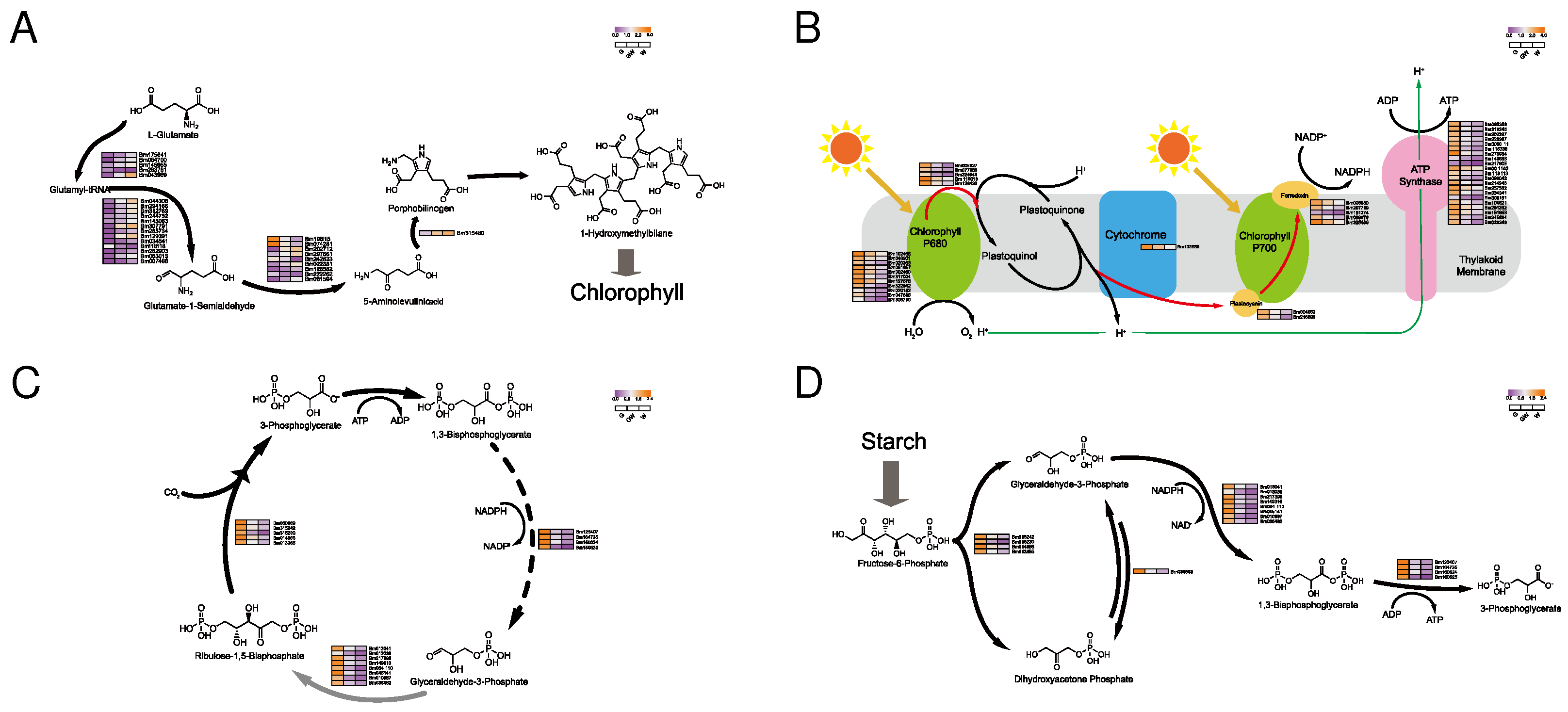 Preprints 94601 g004