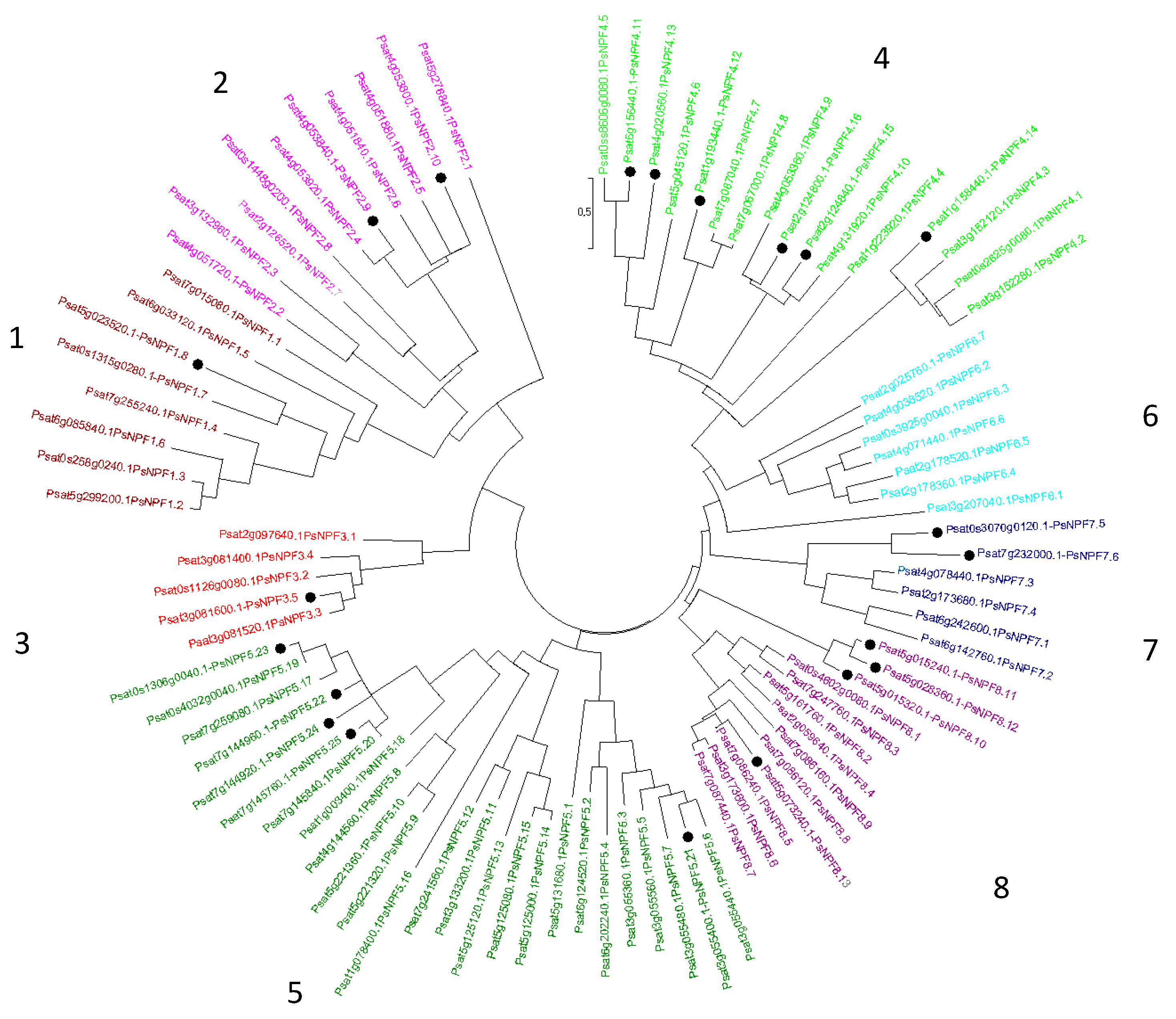 Preprints 91402 g001