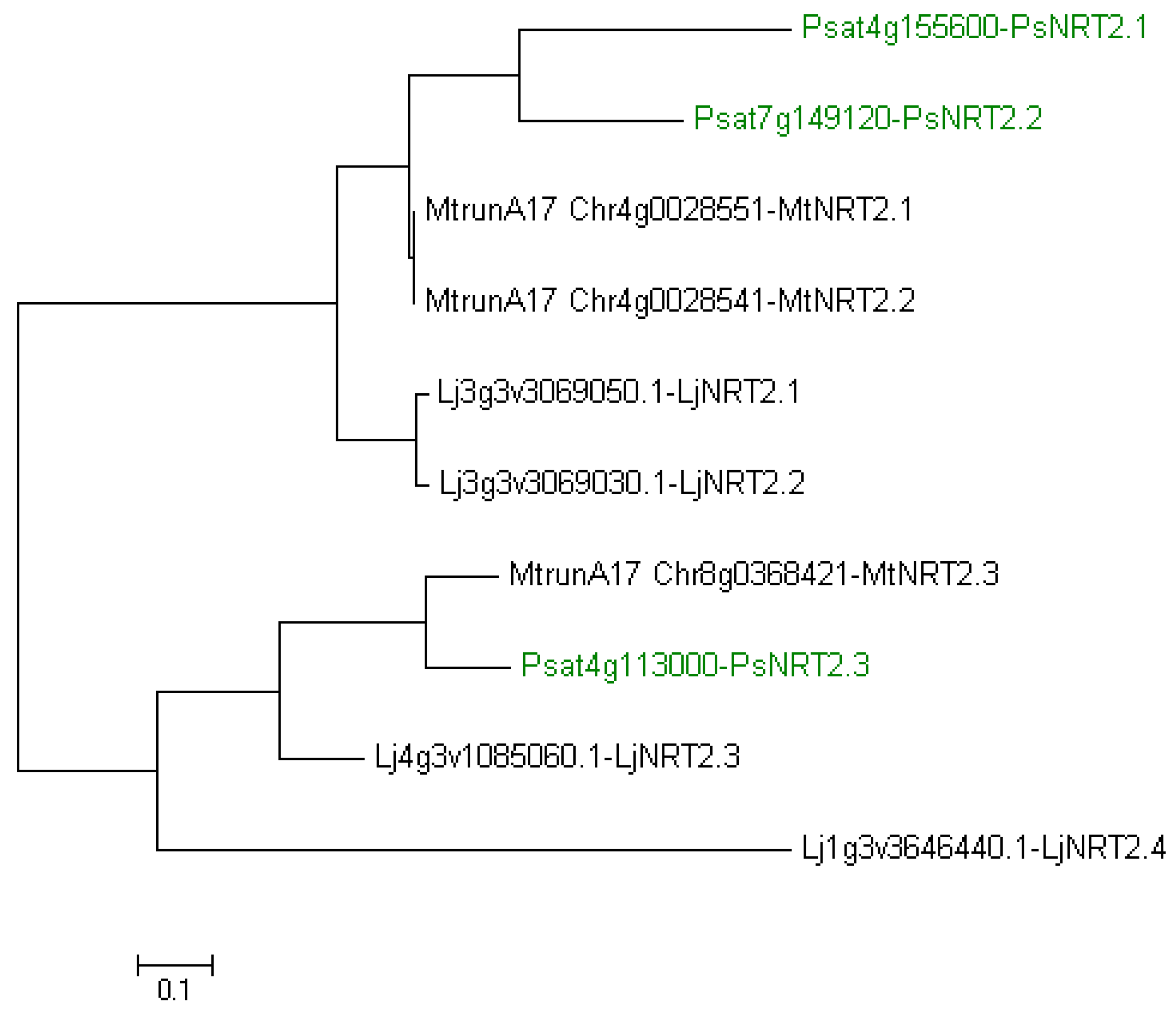 Preprints 91402 g002