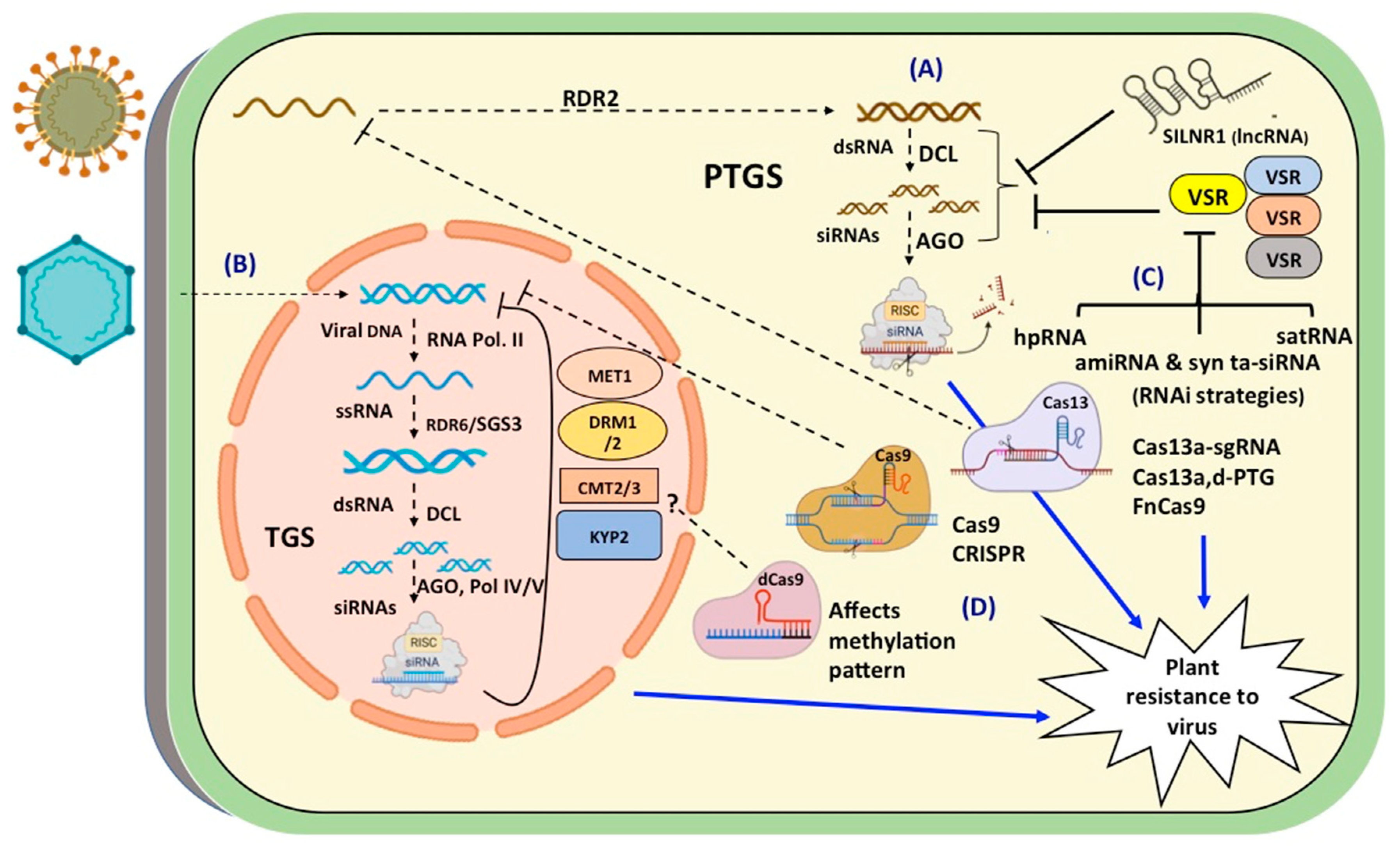 Preprints 94780 g001