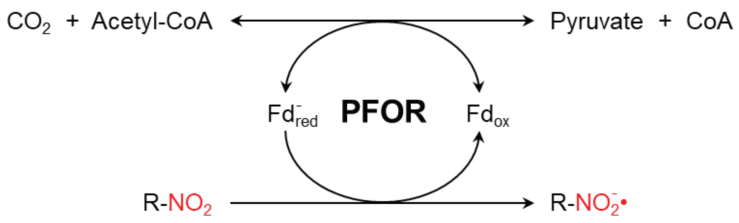 Preprints 100282 g001