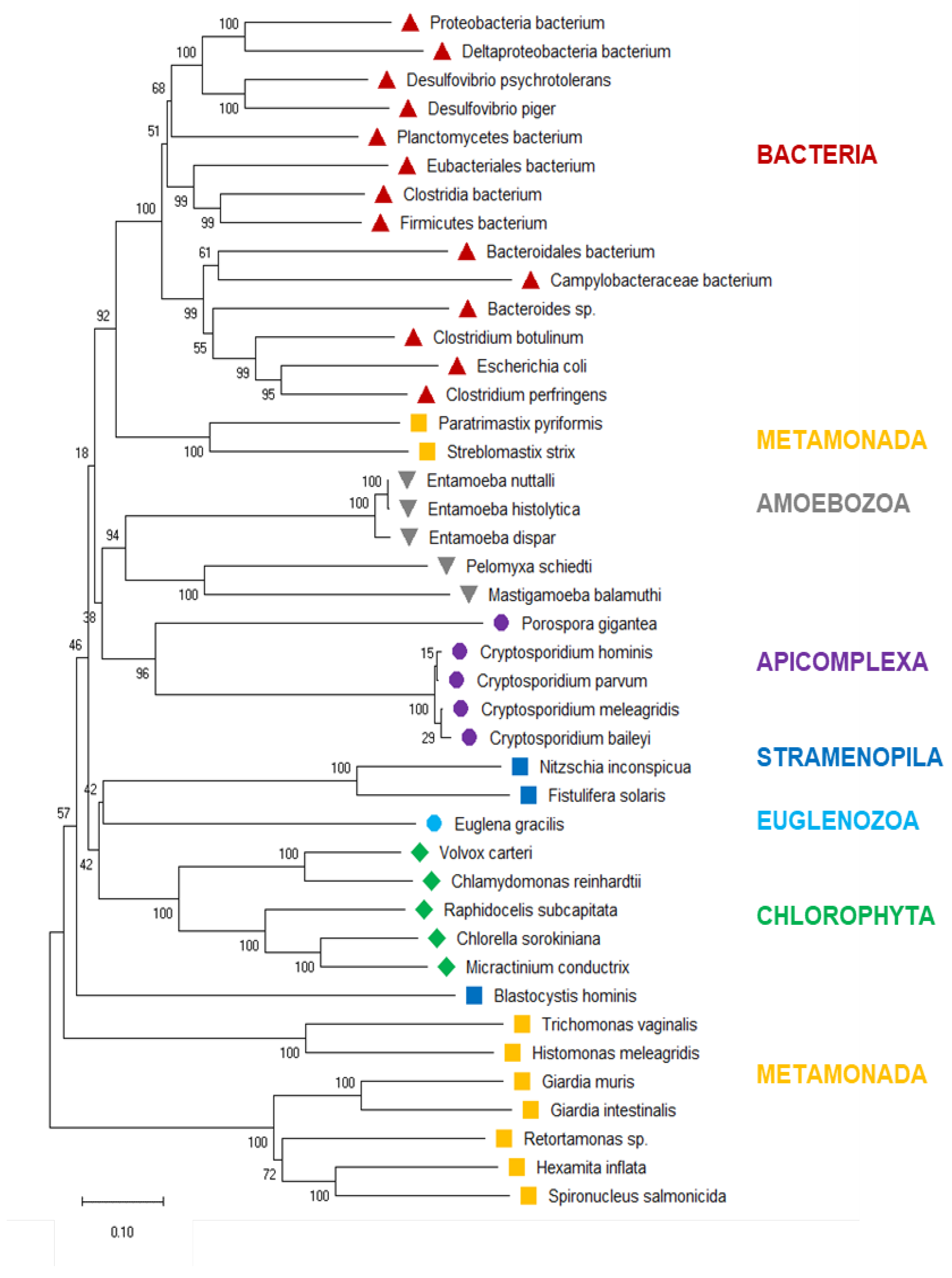 Preprints 100282 g003