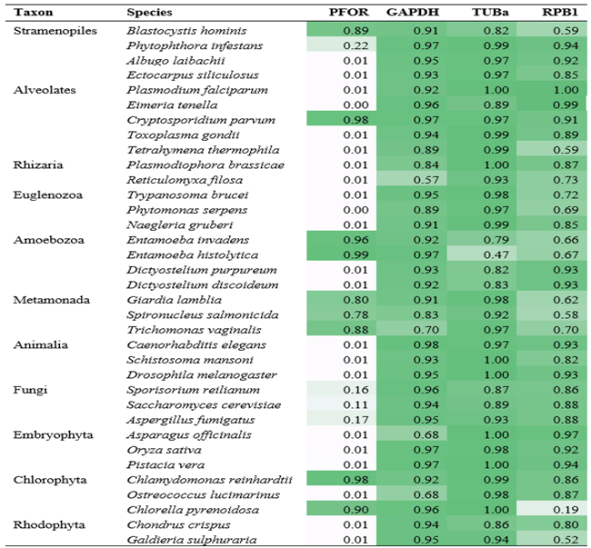 Preprints 100282 i001