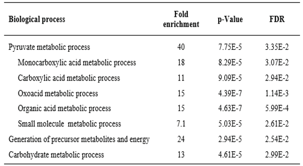 Preprints 100282 i002