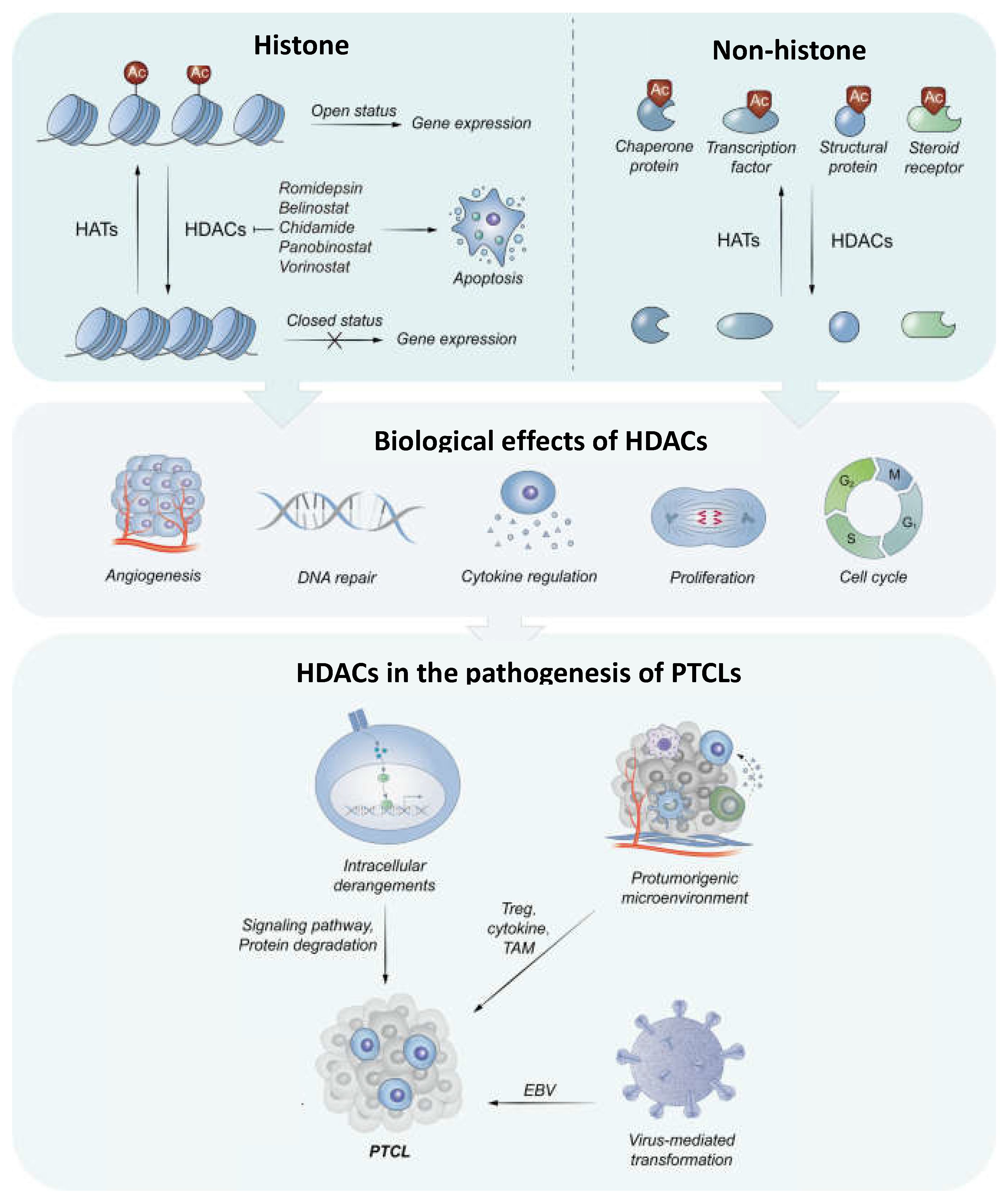 Preprints 114836 g001