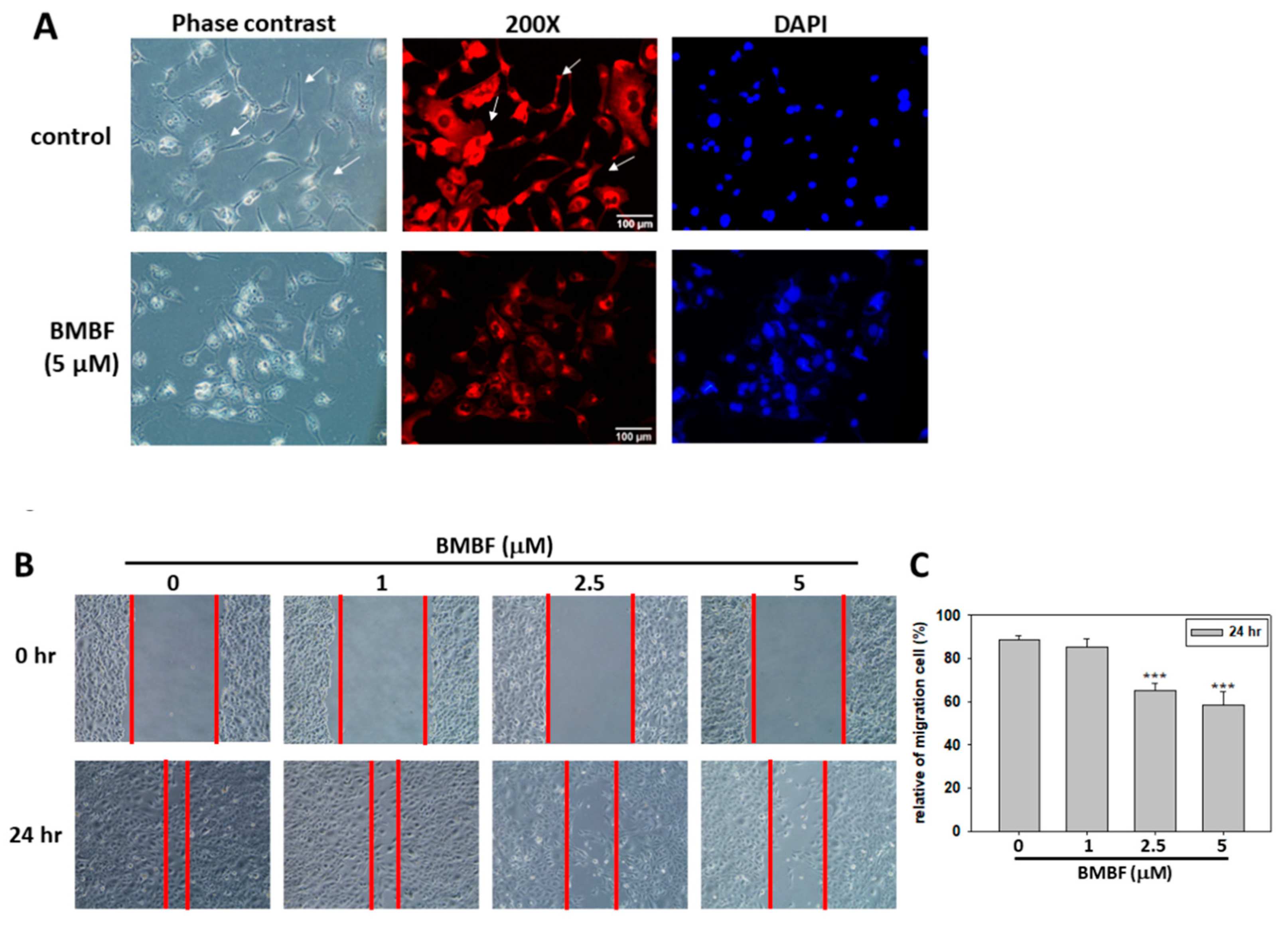 Preprints 75008 g003