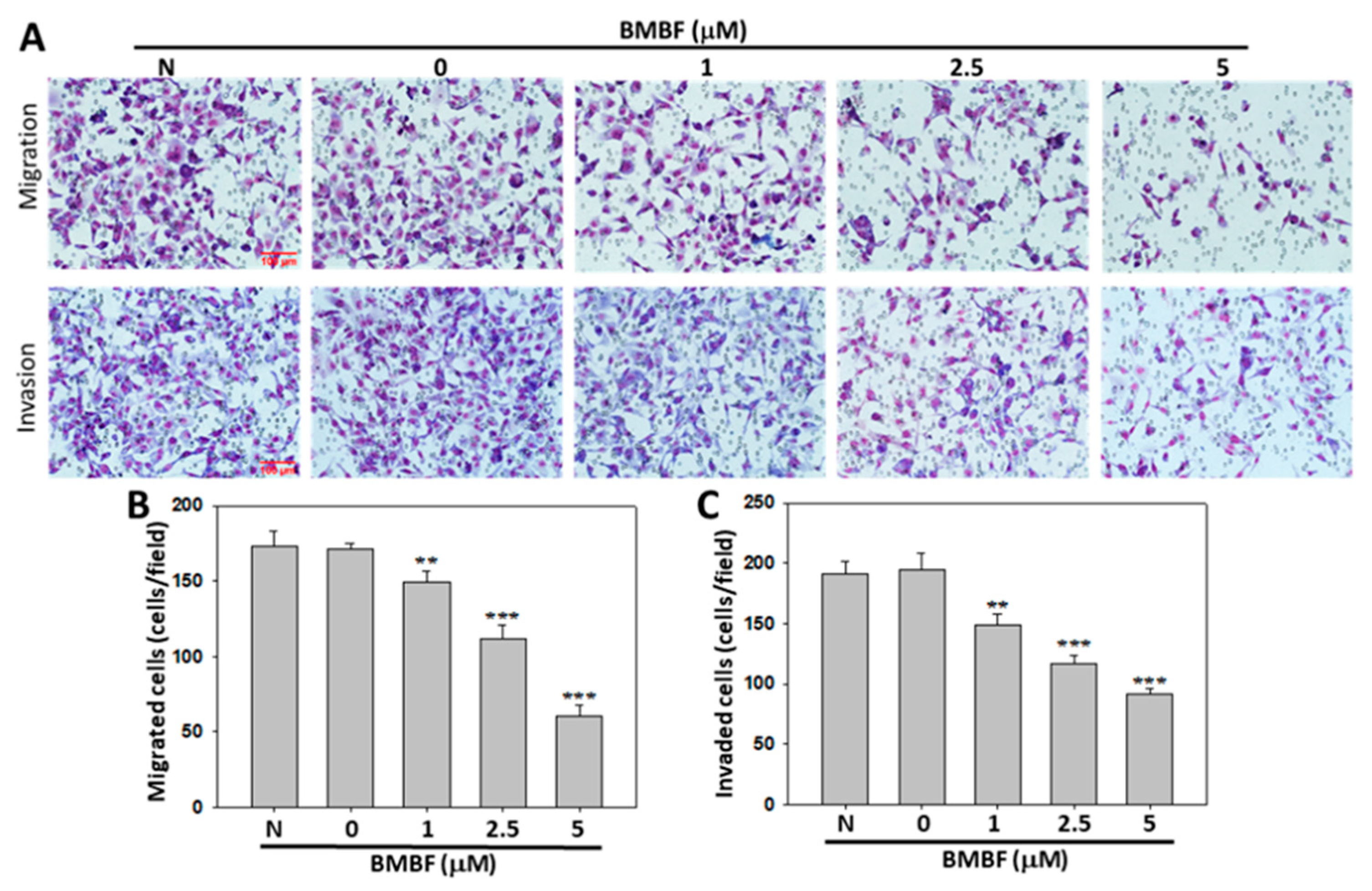 Preprints 75008 g004