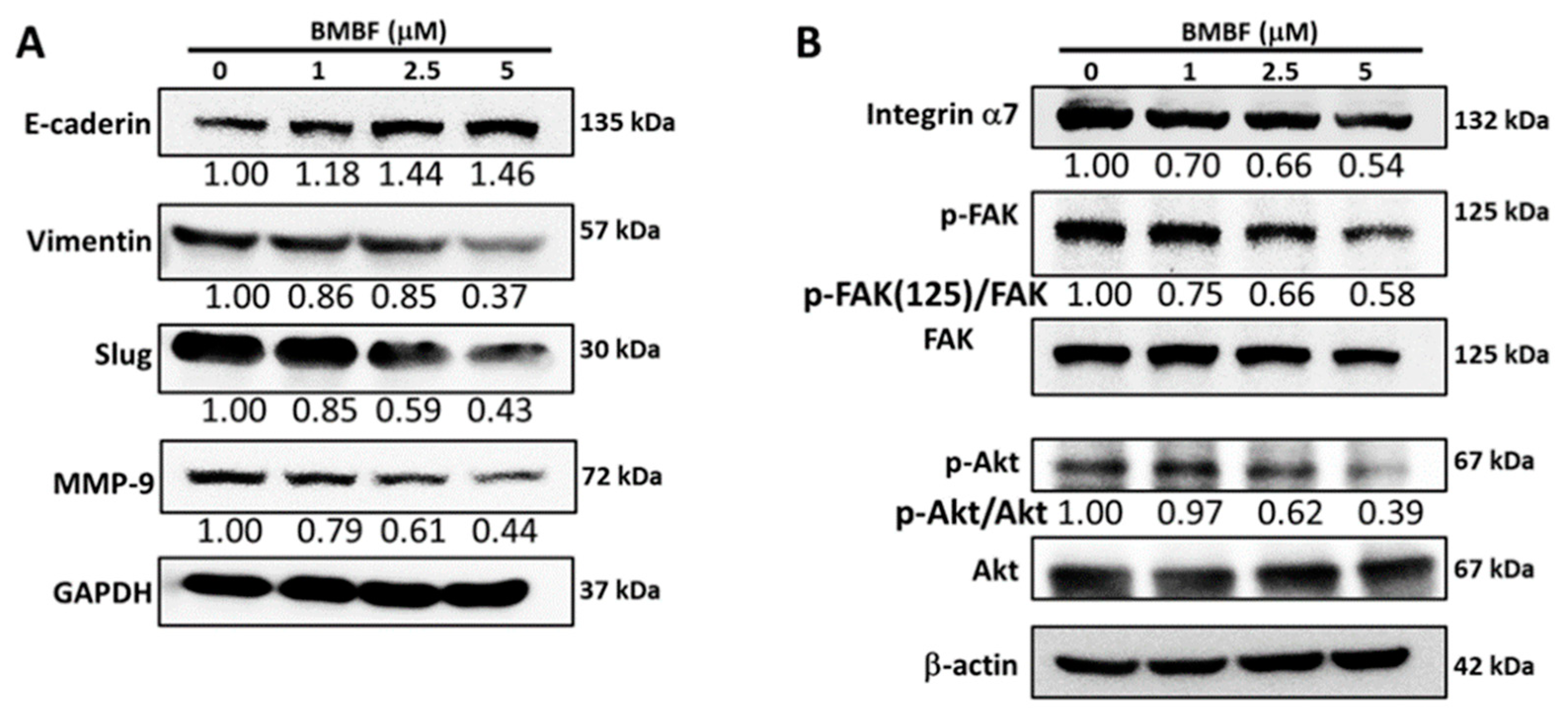 Preprints 75008 g005