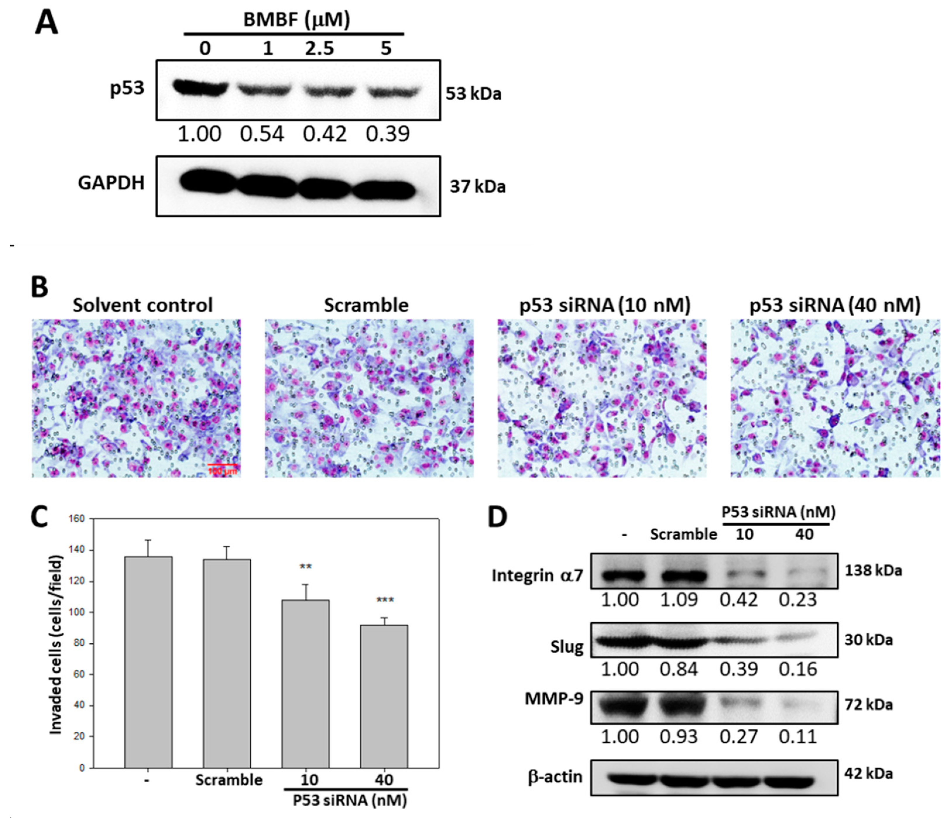 Preprints 75008 g006