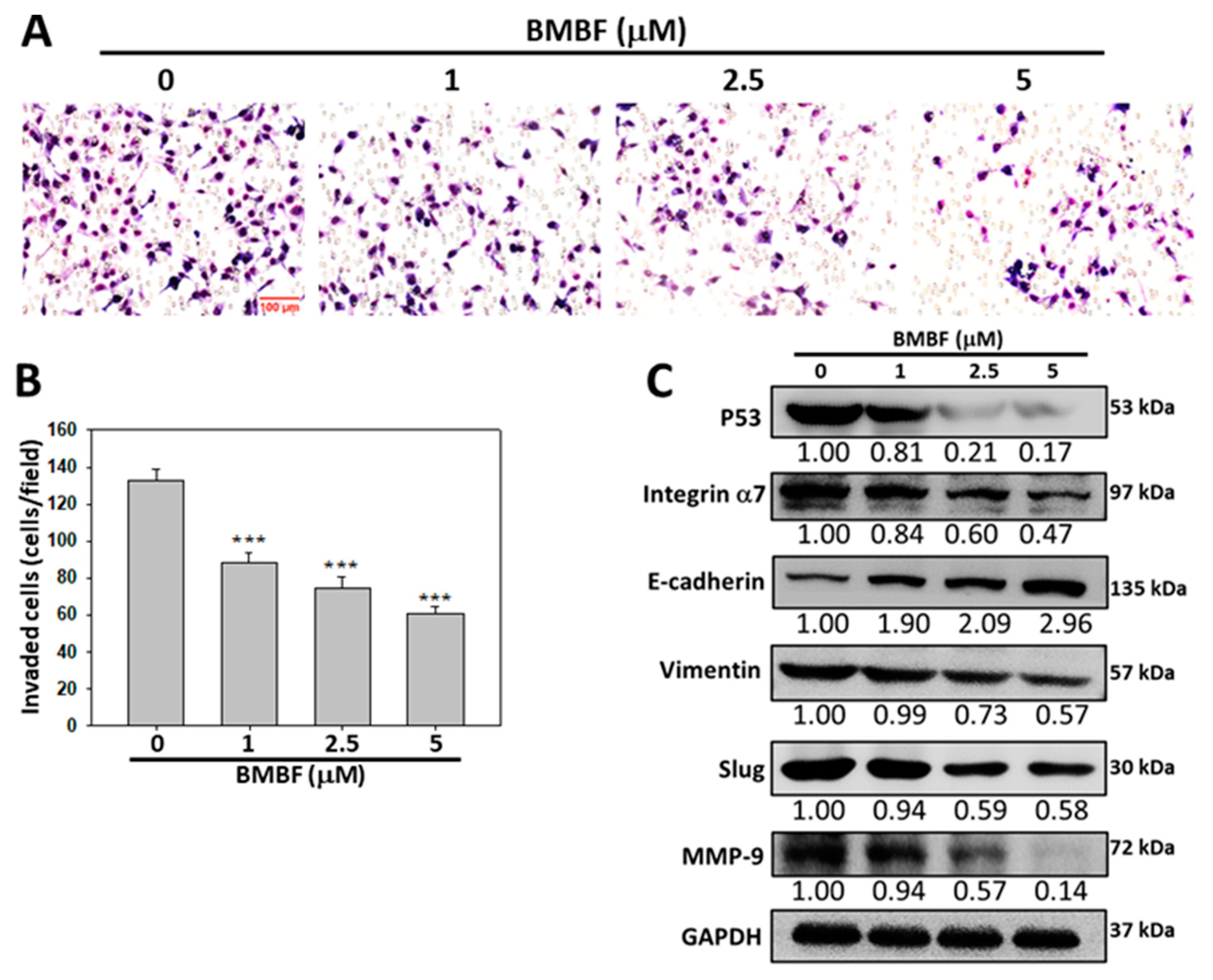 Preprints 75008 g007