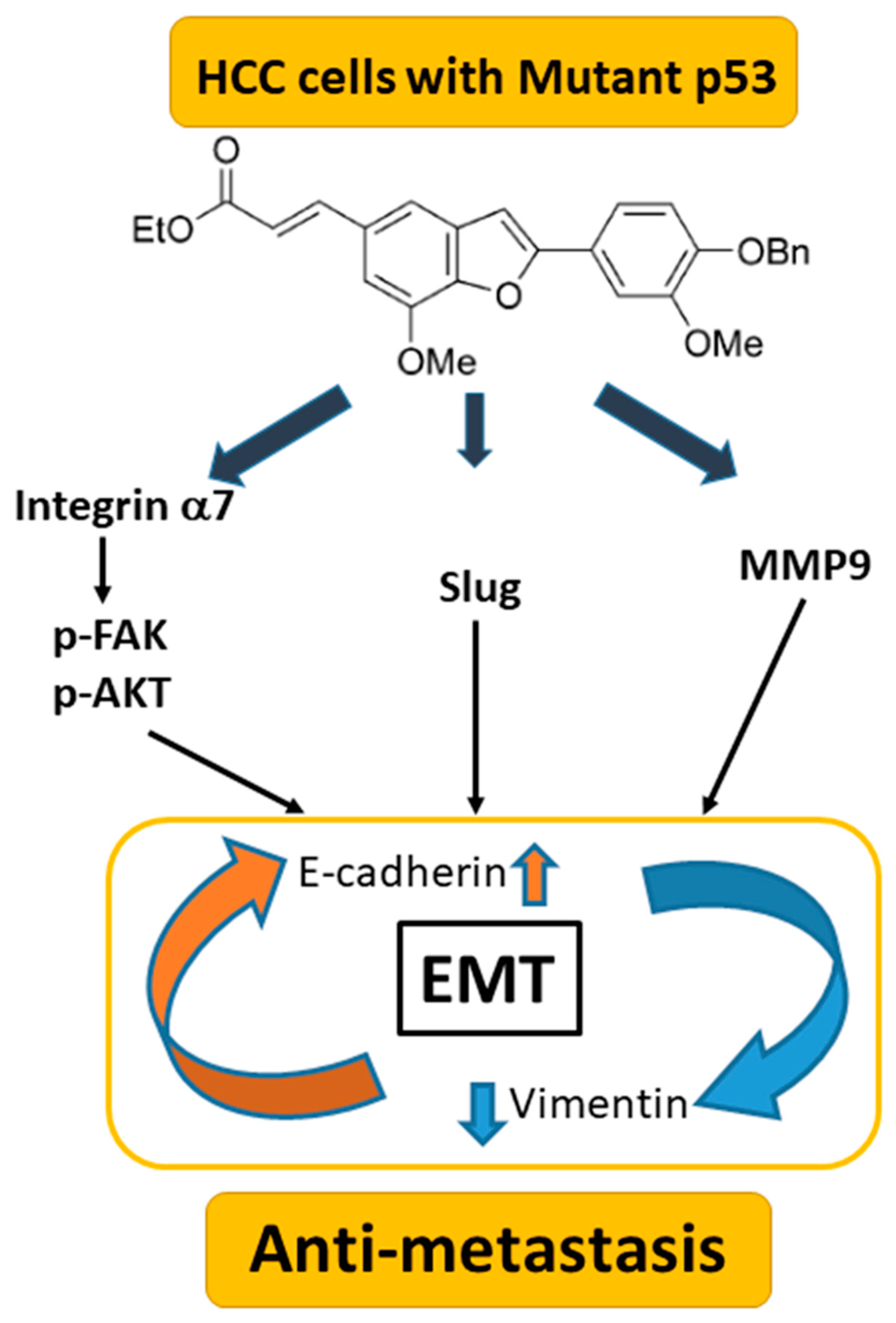 Preprints 75008 g008