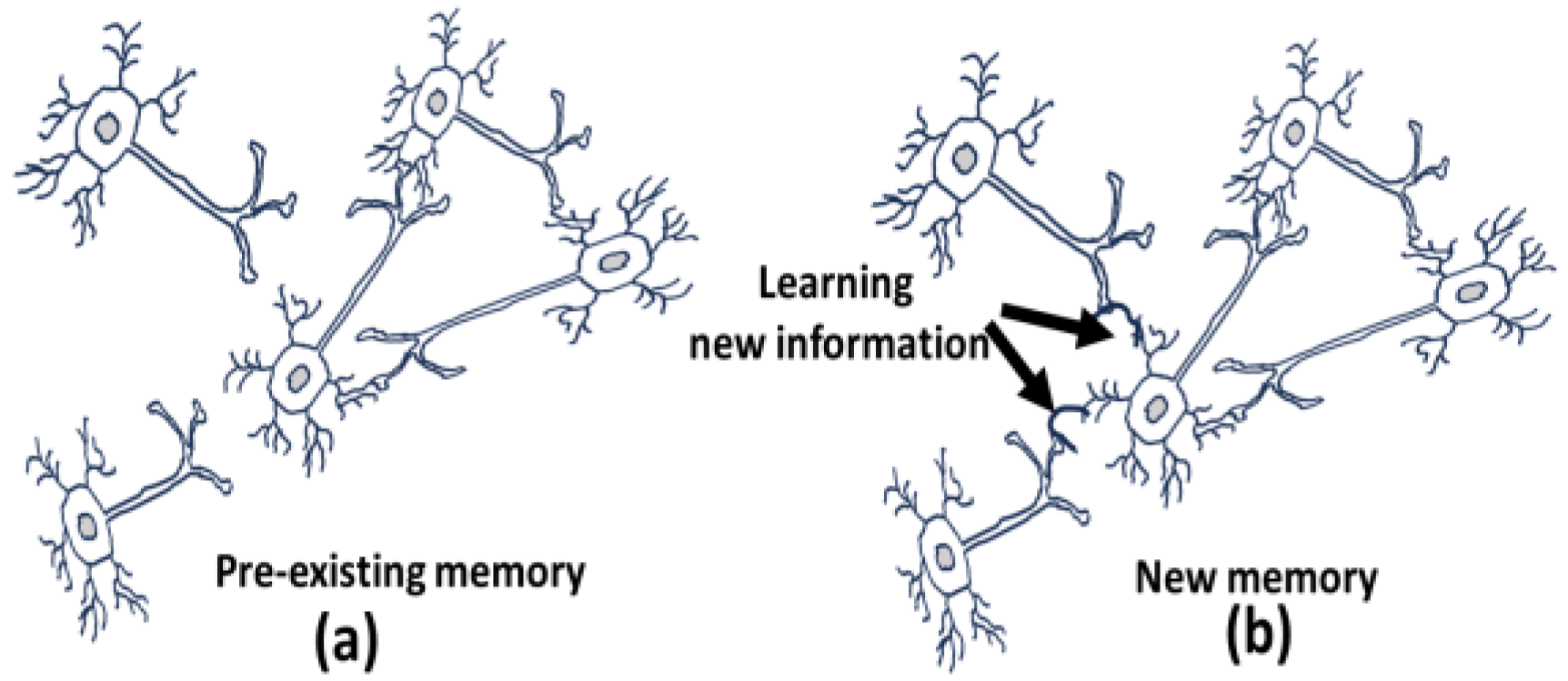 Preprints 118611 g004