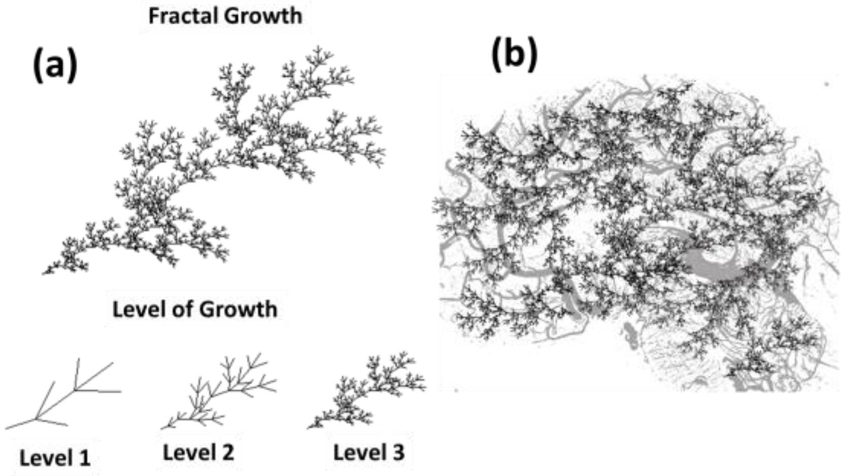 Preprints 118611 g013