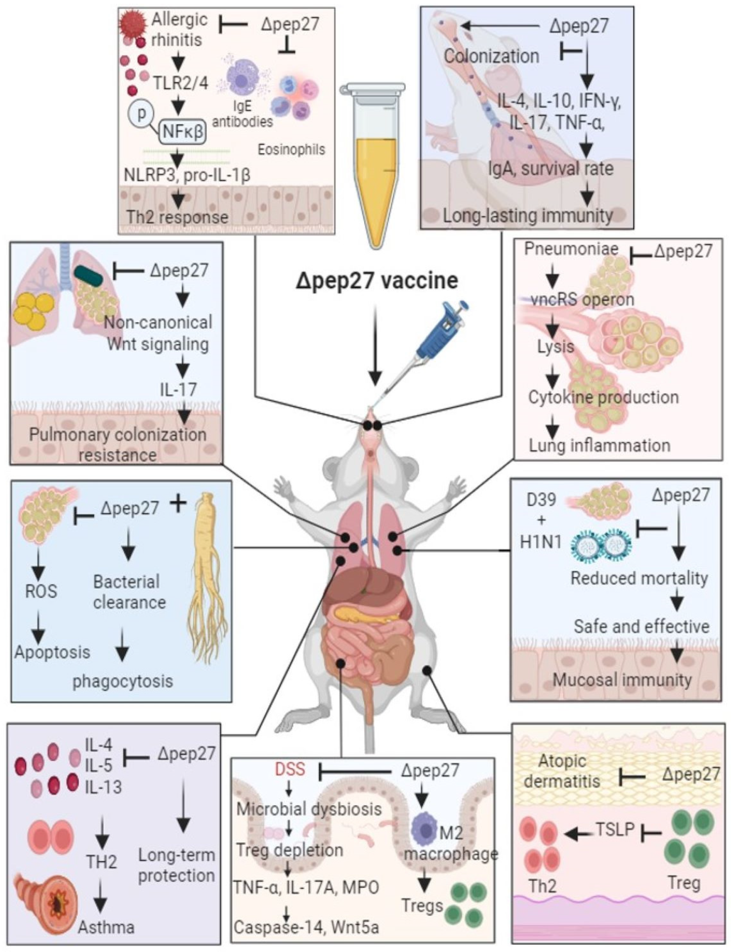 Preprints 98849 g001