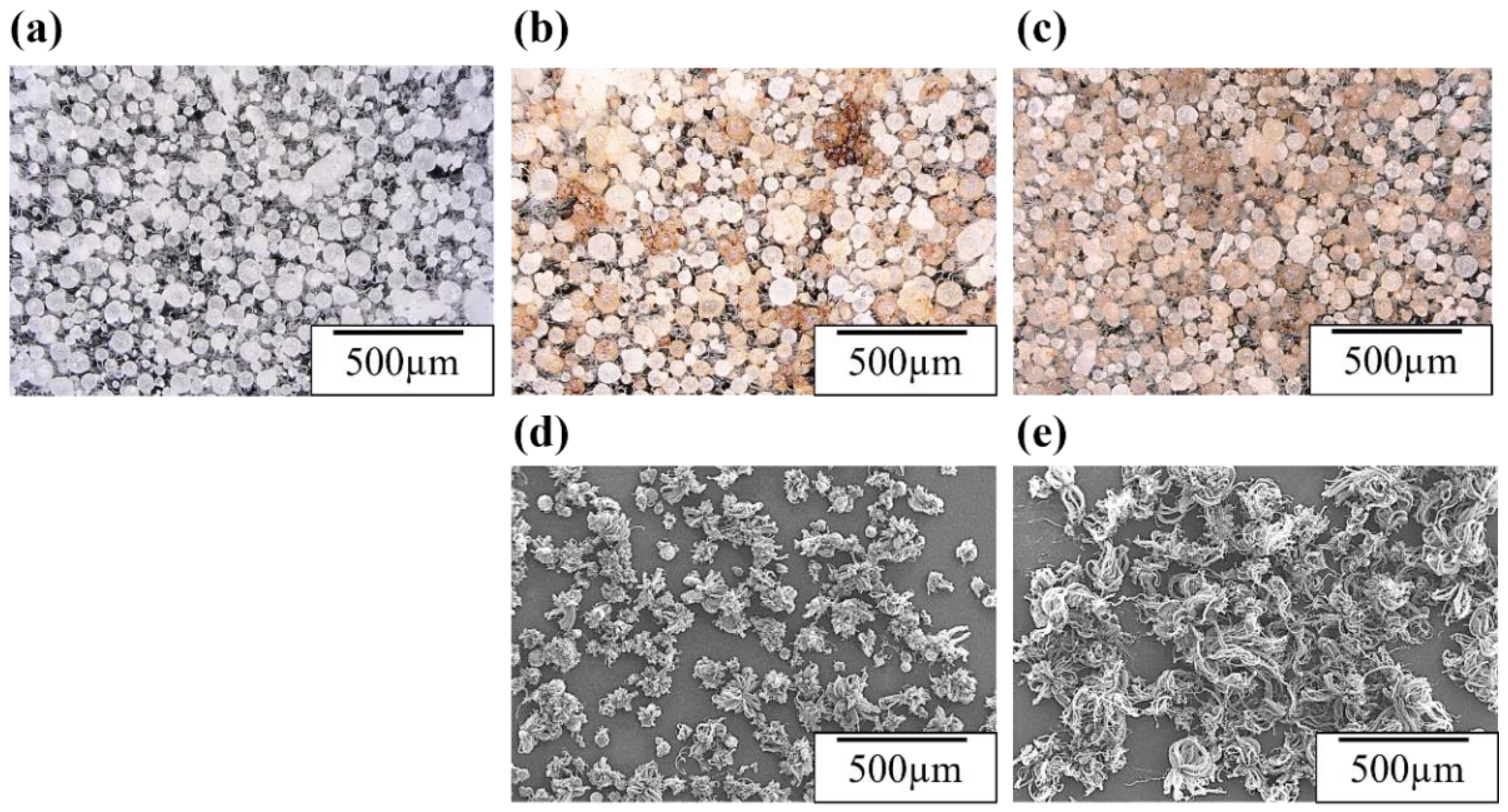 Preprints 99994 g003