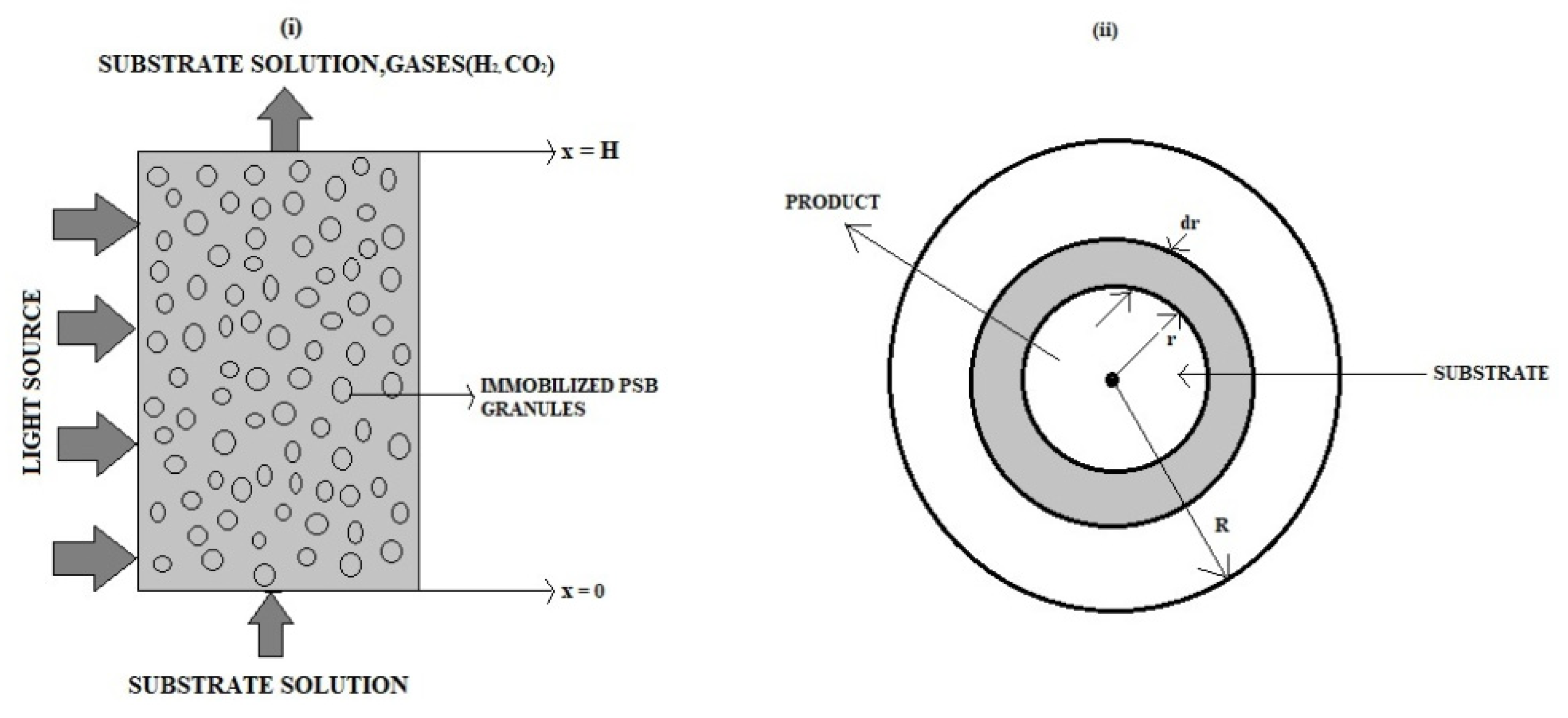 Preprints 78715 g001