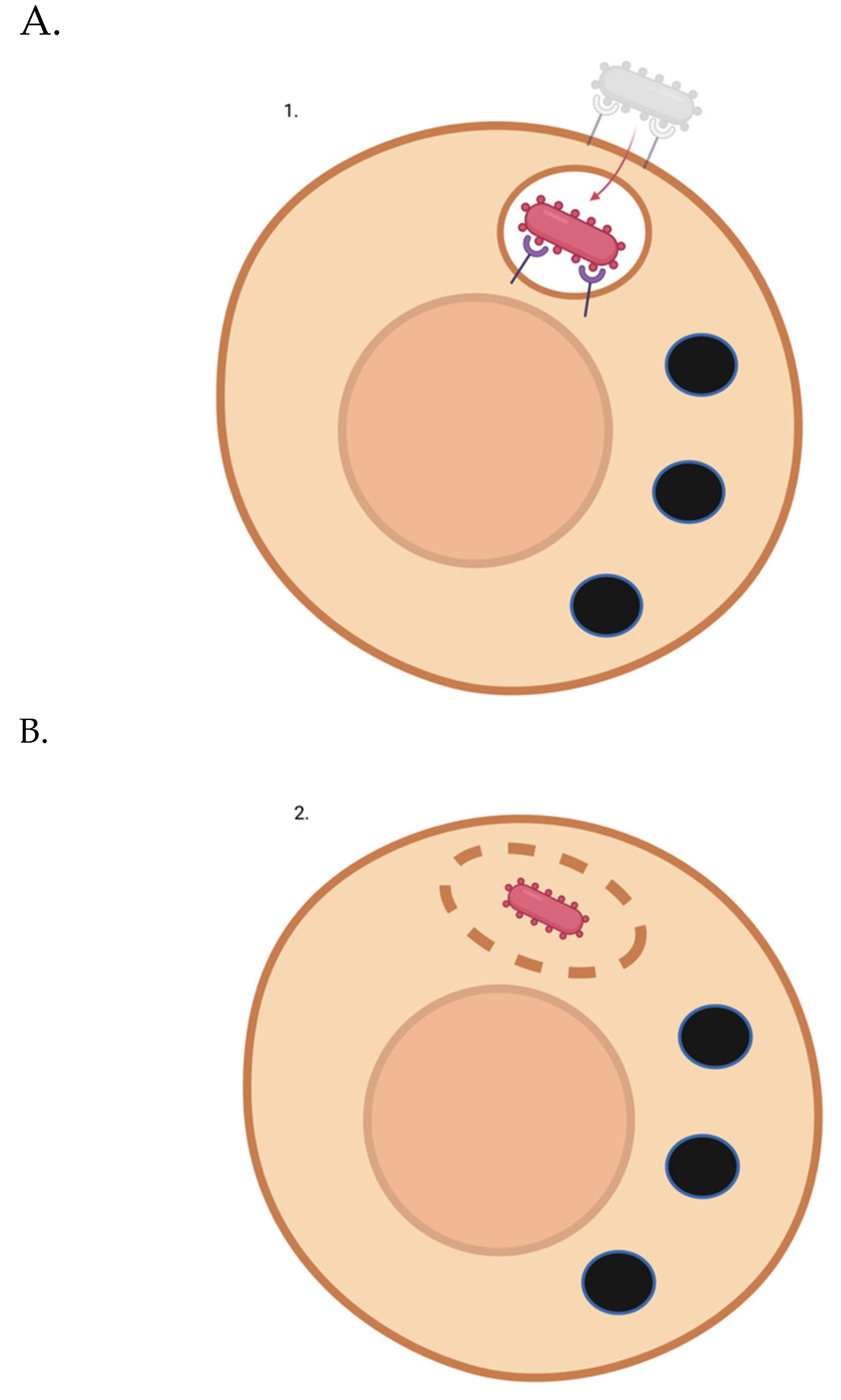 Preprints 69973 g001a