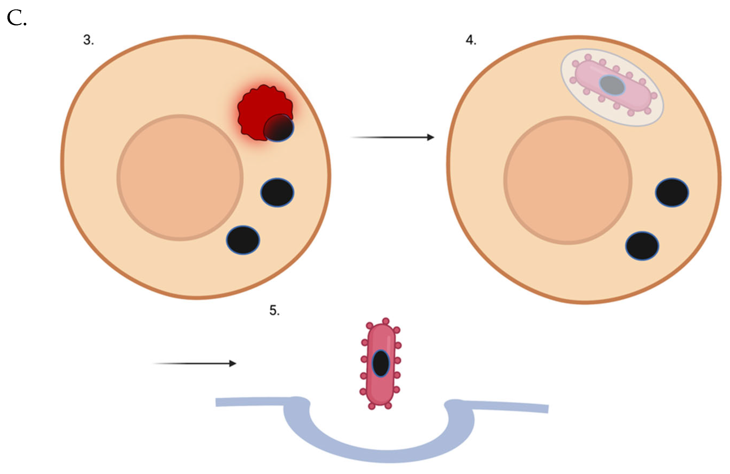 Preprints 69973 g001b