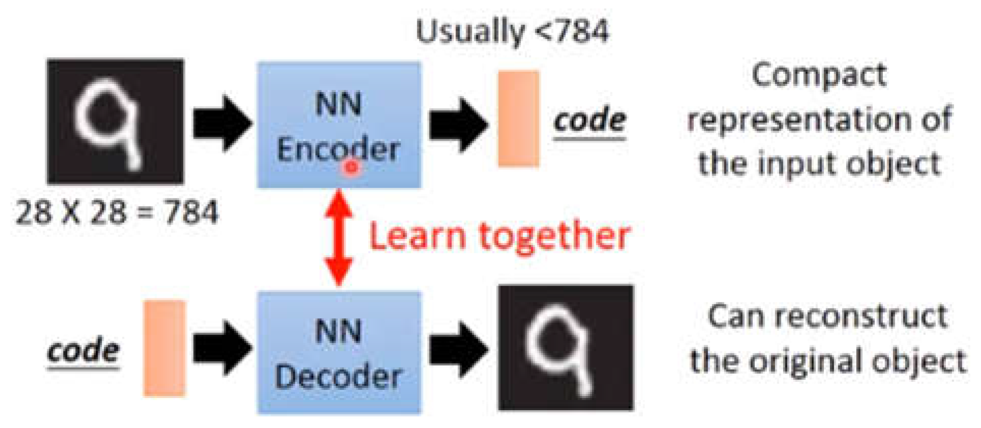 Preprints 111283 g001