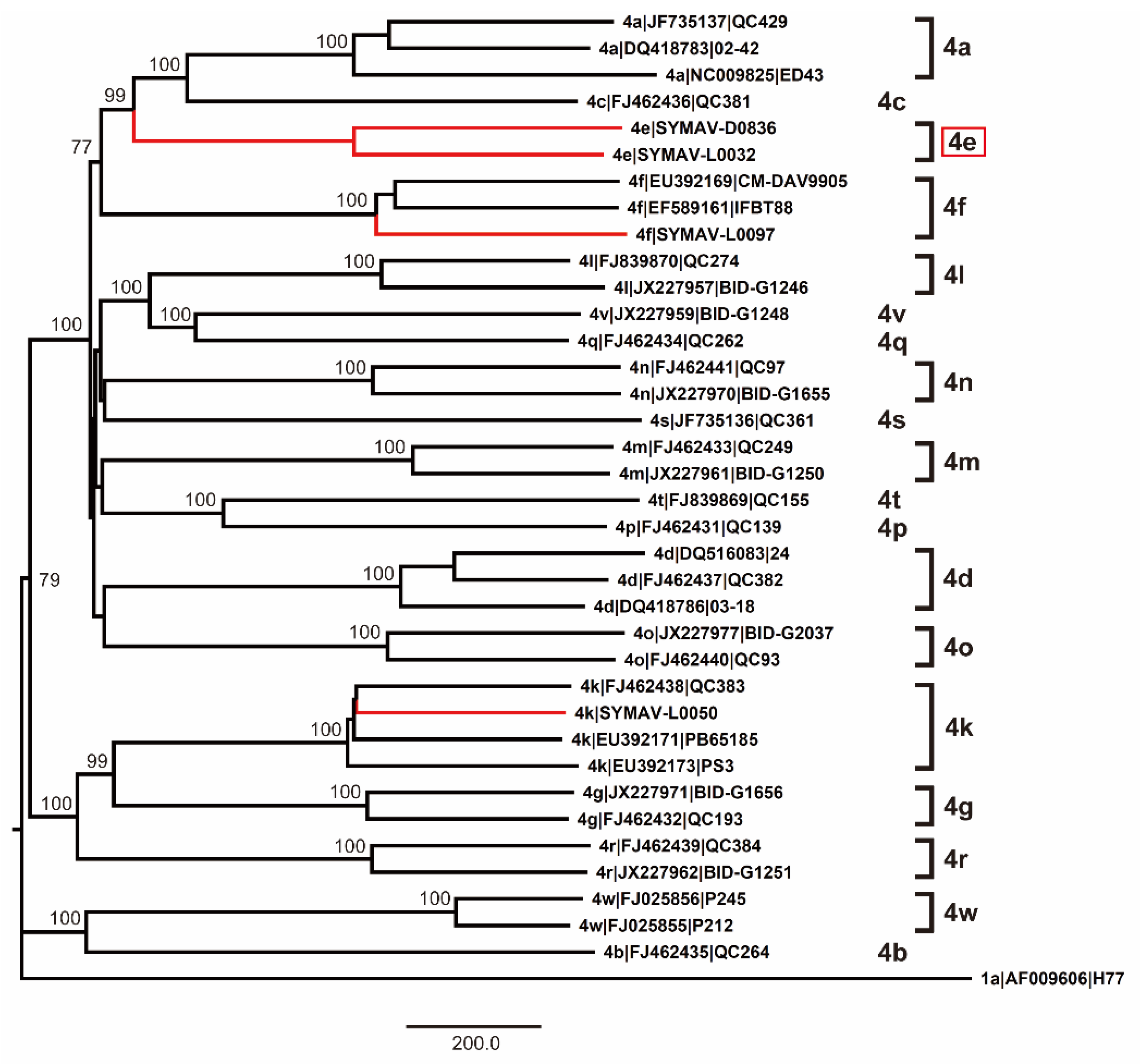 Preprints 79807 g004