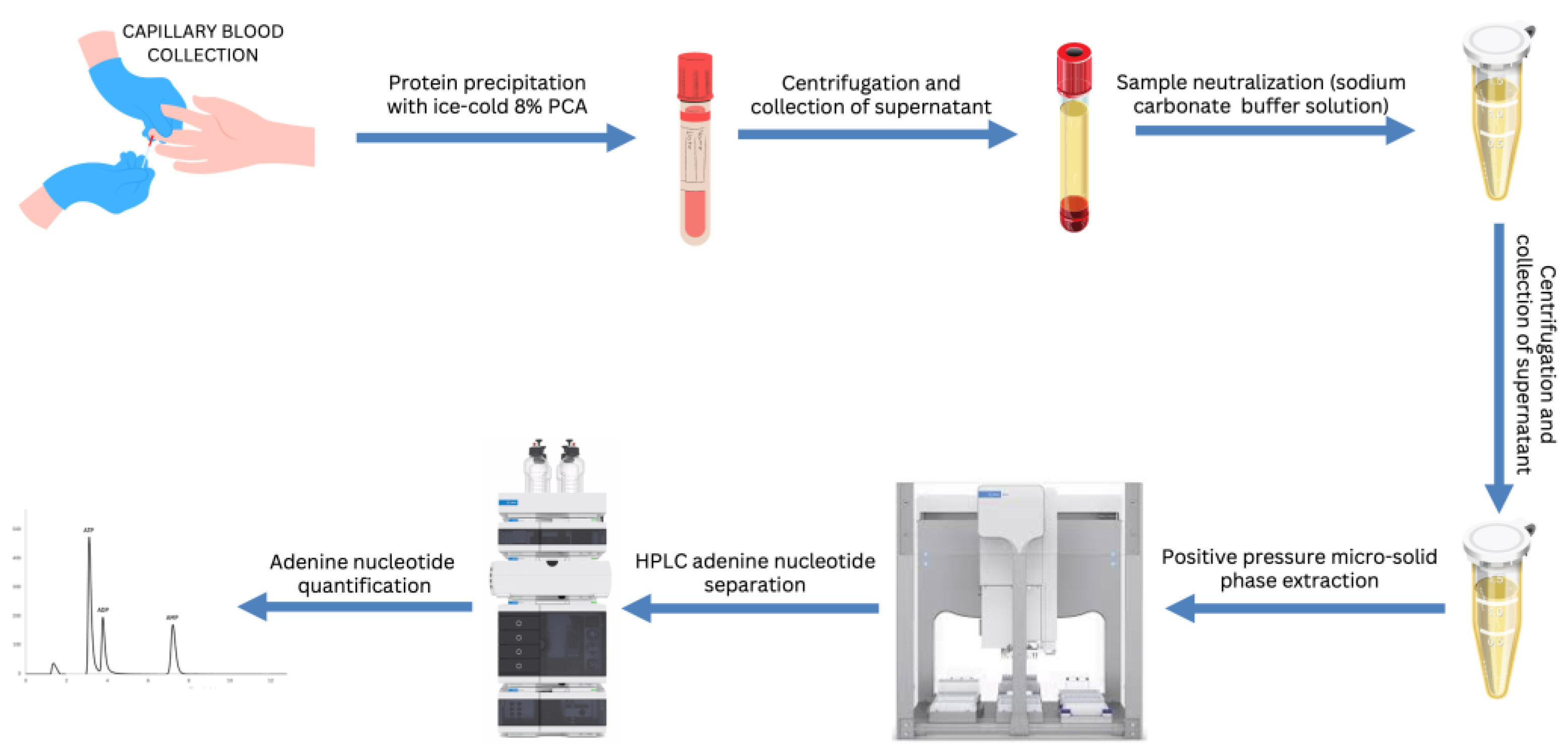 Preprints 138630 g004