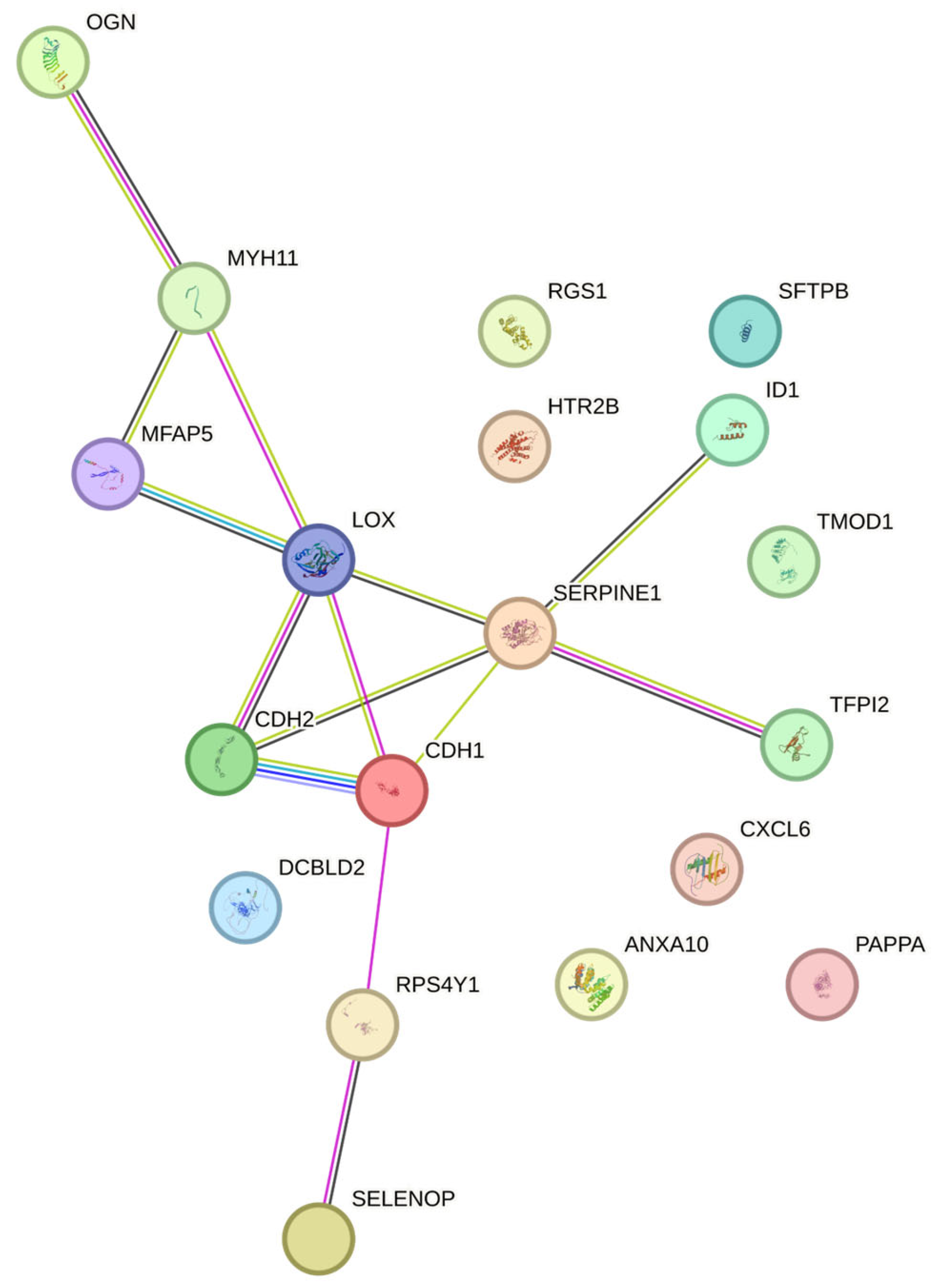 Preprints 106731 g001