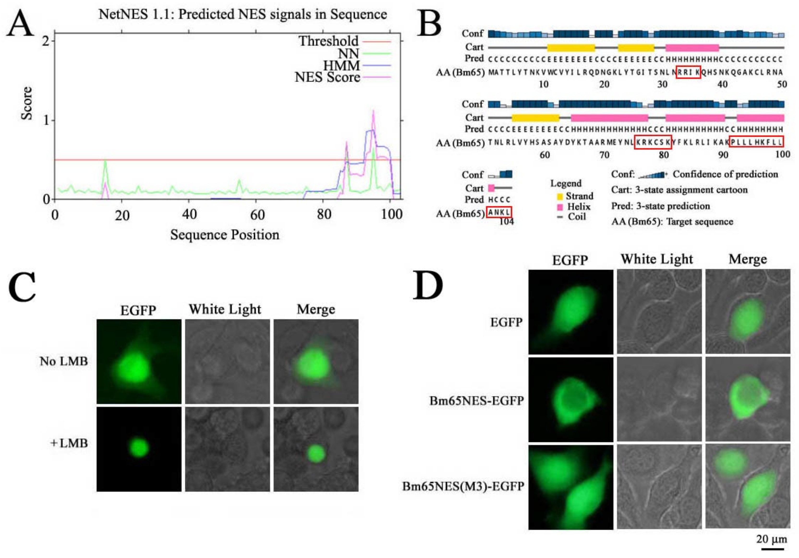 Preprints 138438 g001