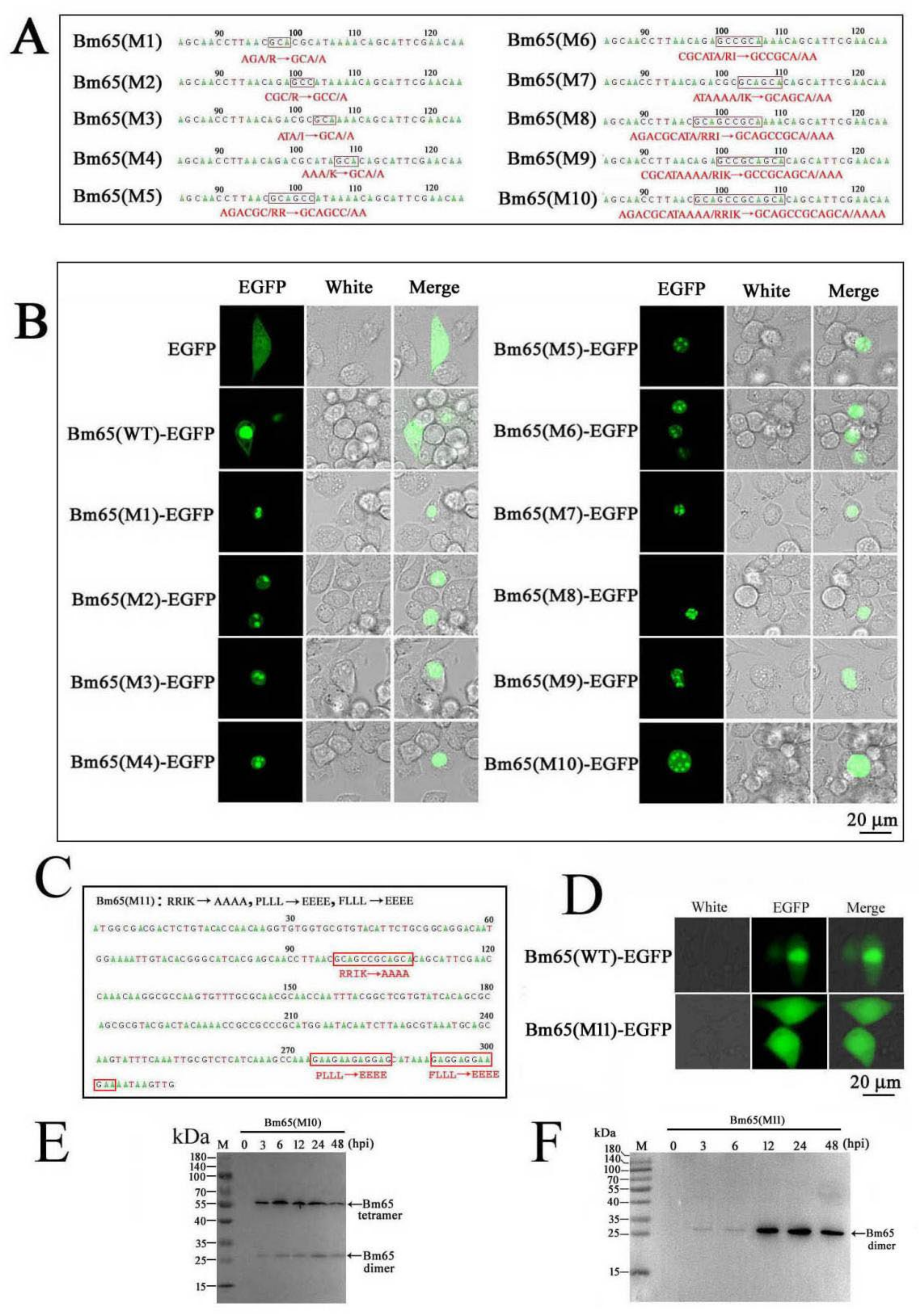 Preprints 138438 g002