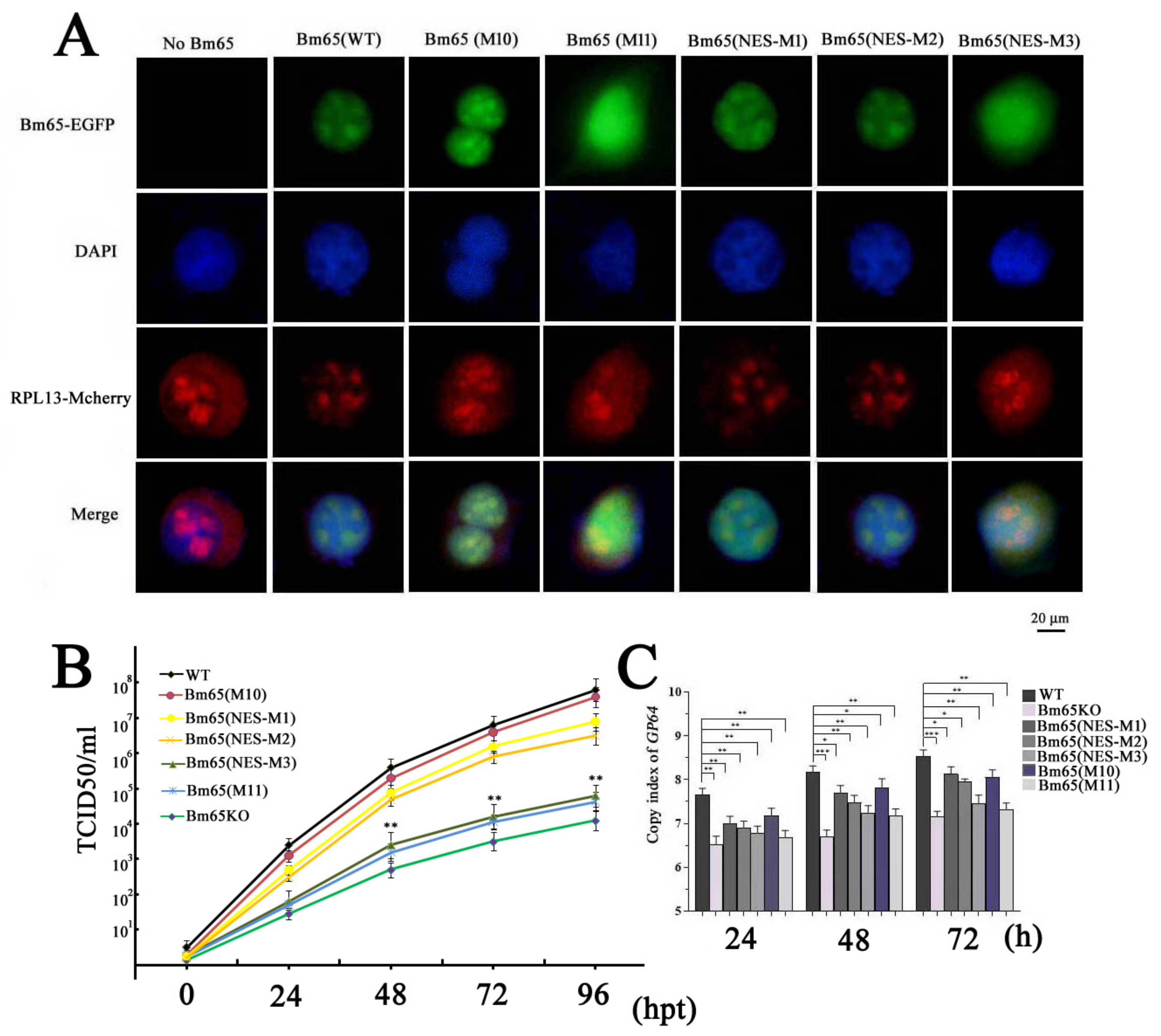 Preprints 138438 g004