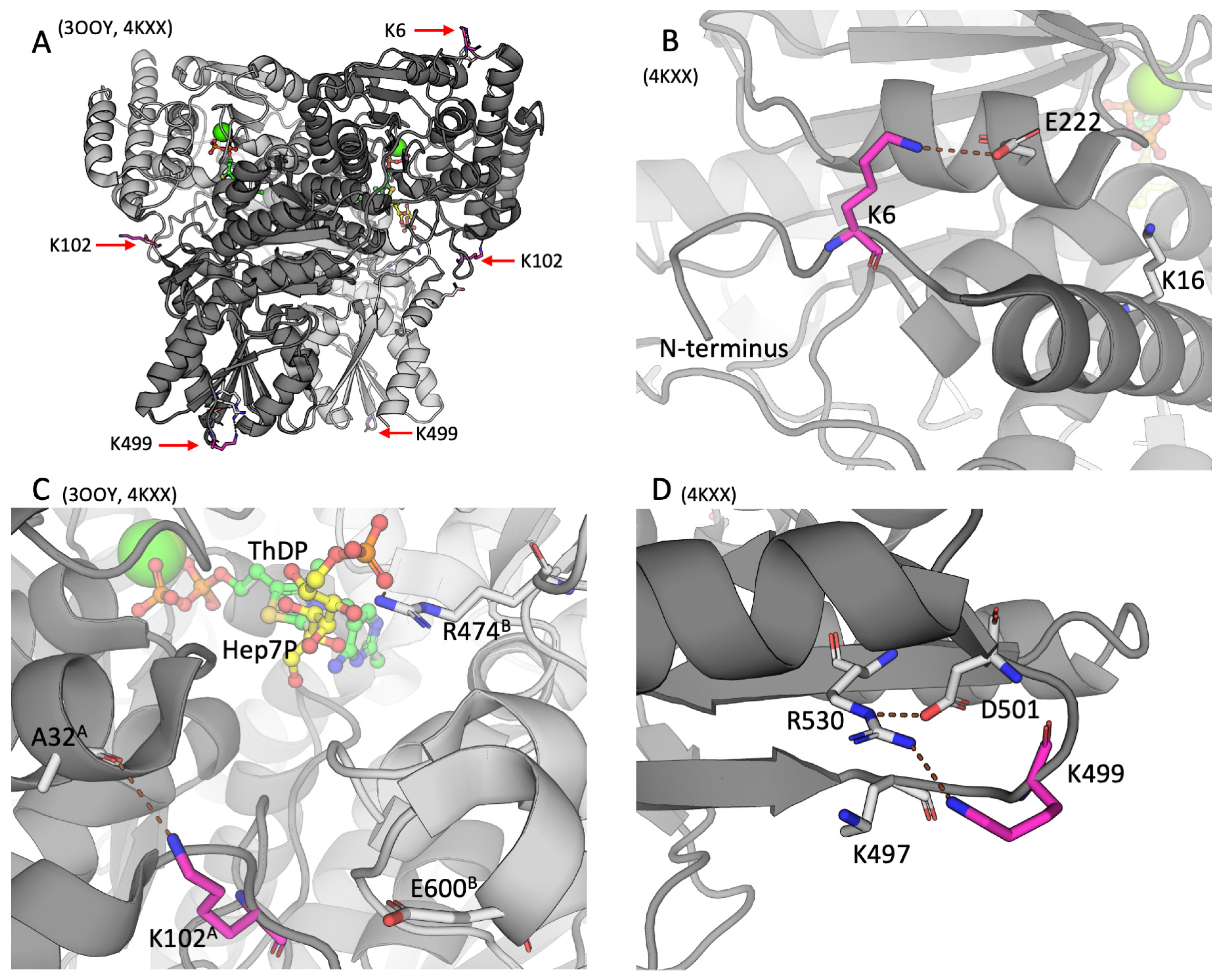 Preprints 90180 g002