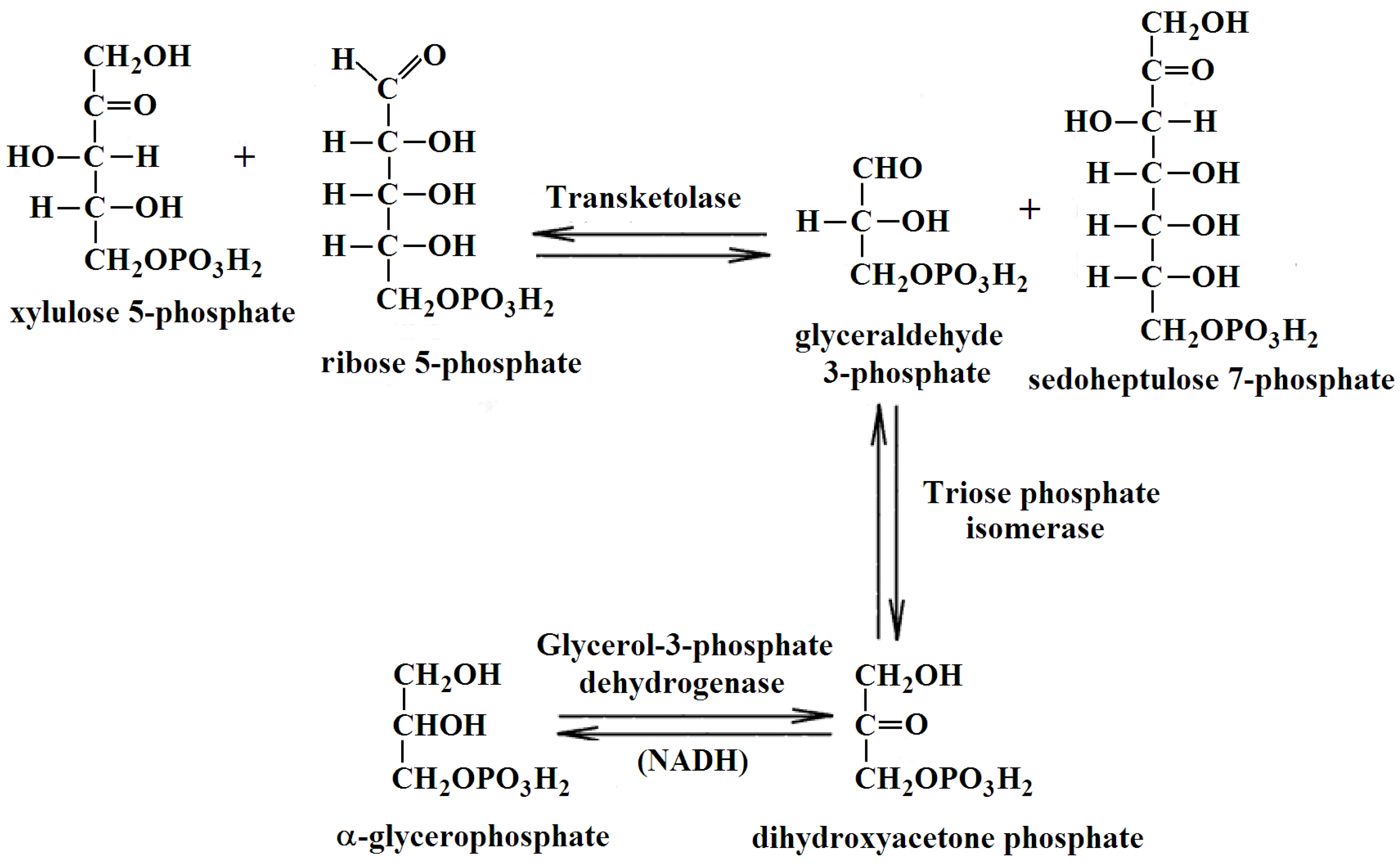 Preprints 90180 g003