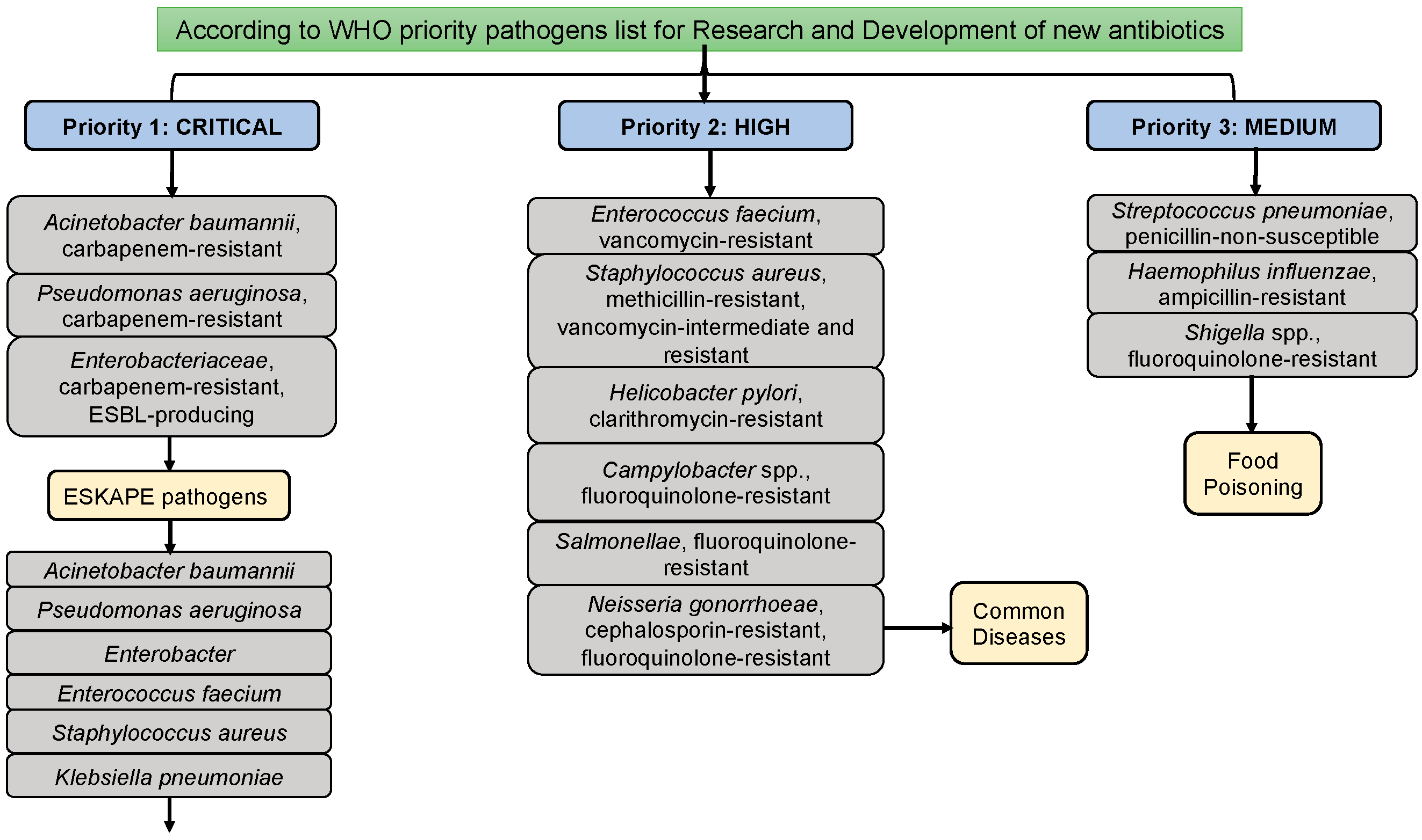 Preprints 99095 g001a