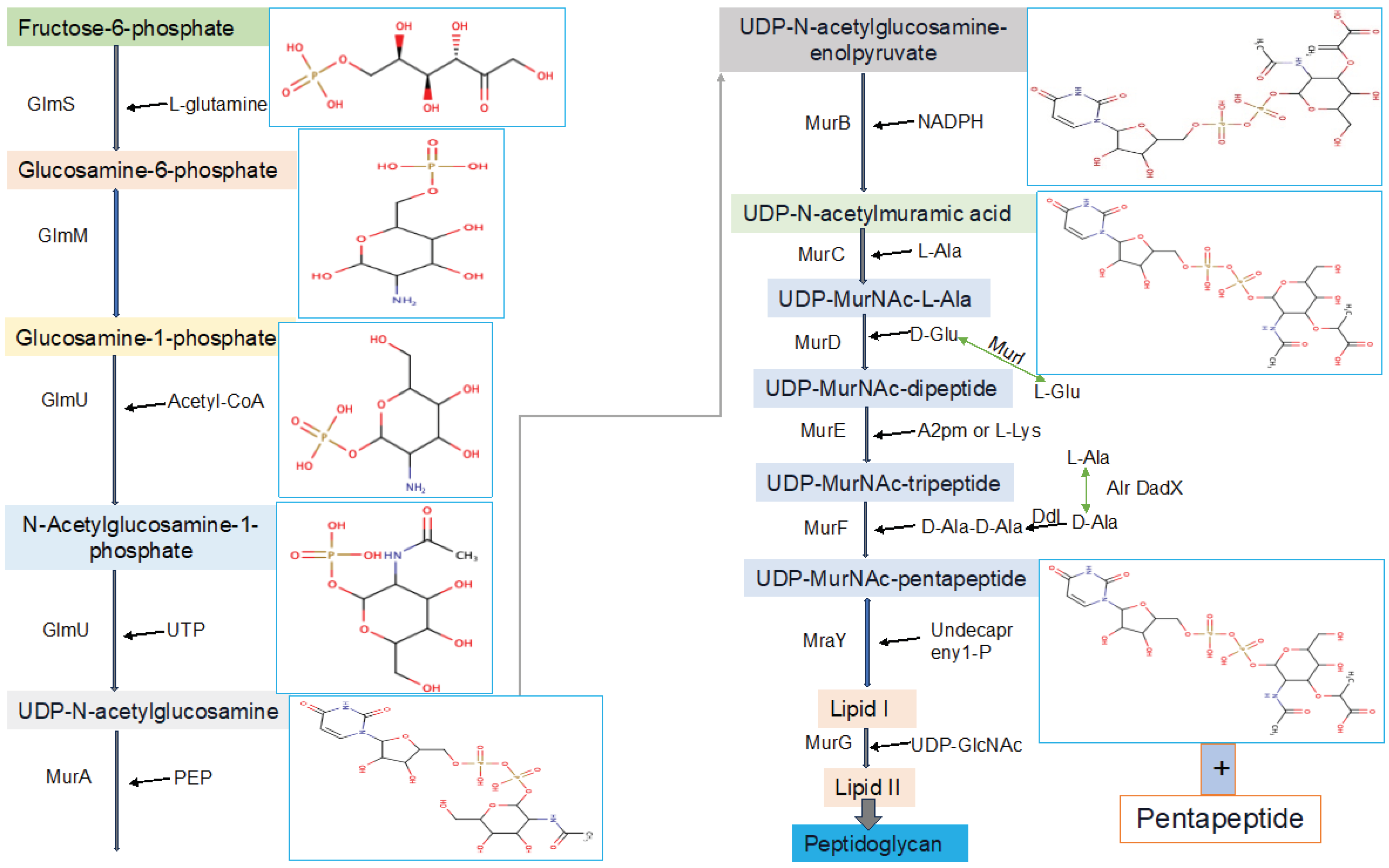 Preprints 99095 g002