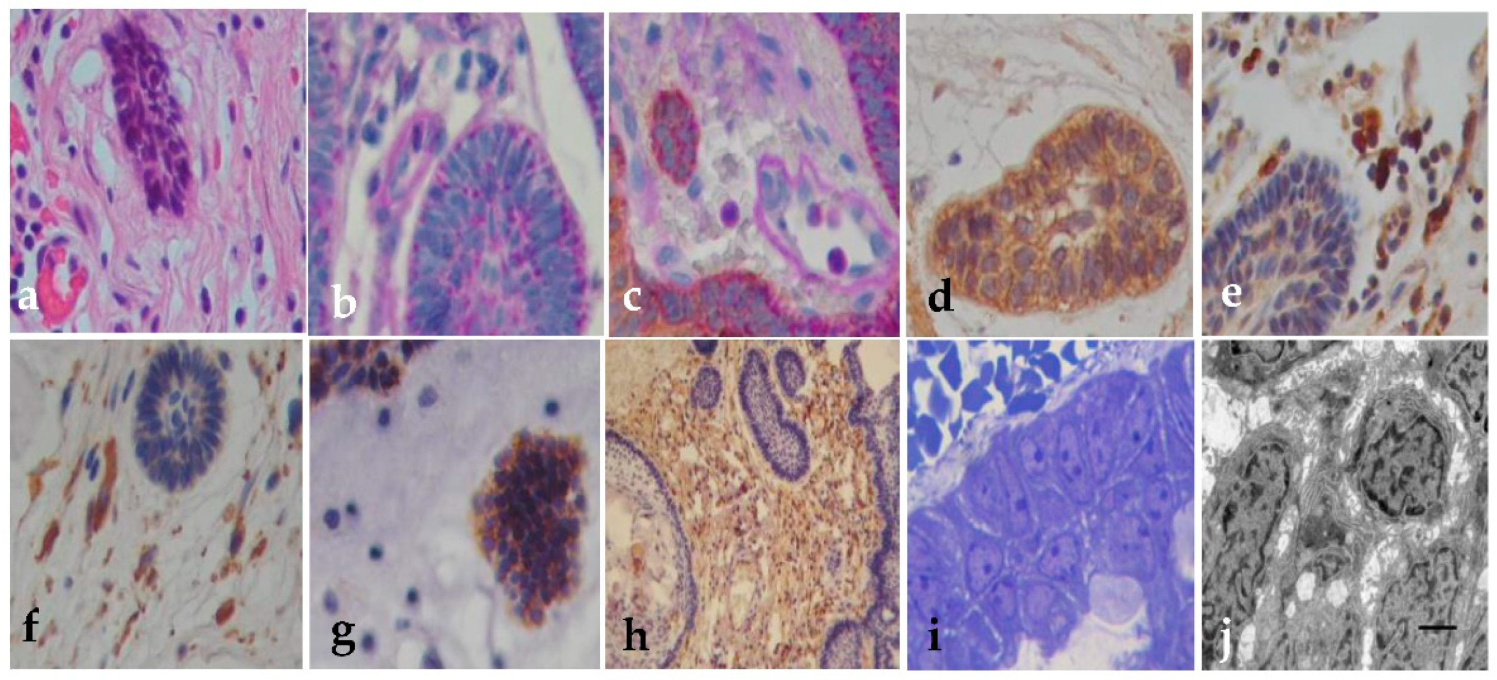 Preprints 137706 g005