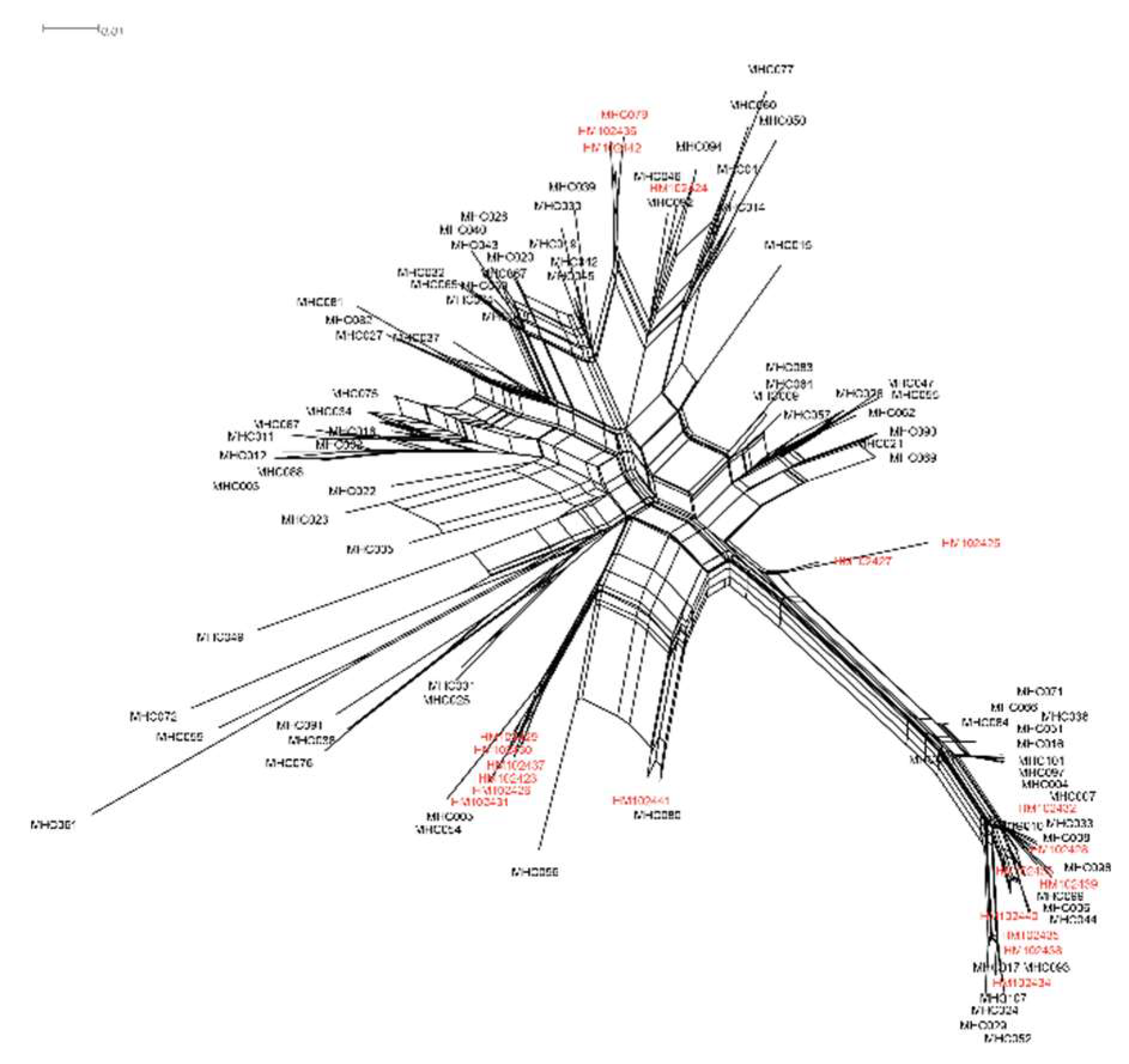 Preprints 77762 g006