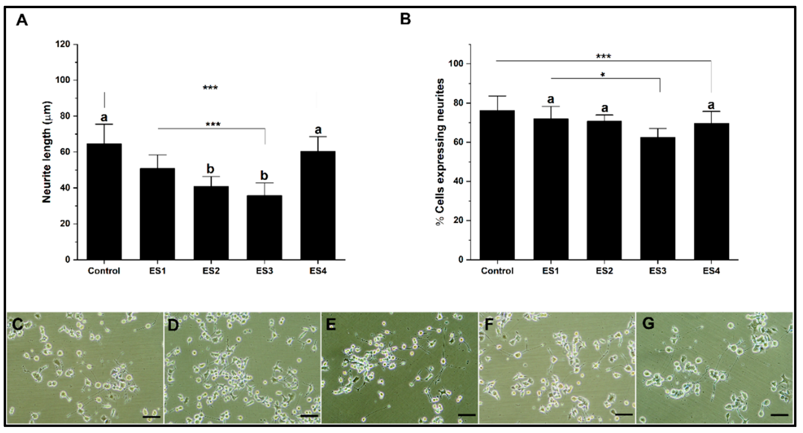 Preprints 88285 g006