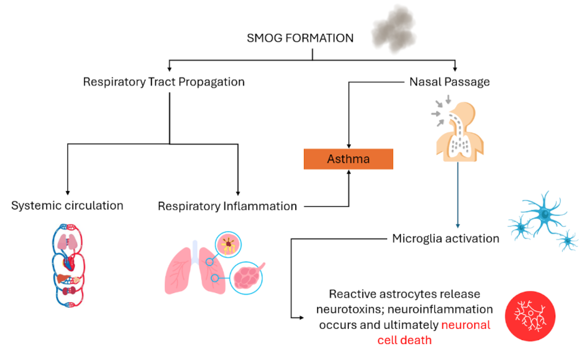 Preprints 116507 g001