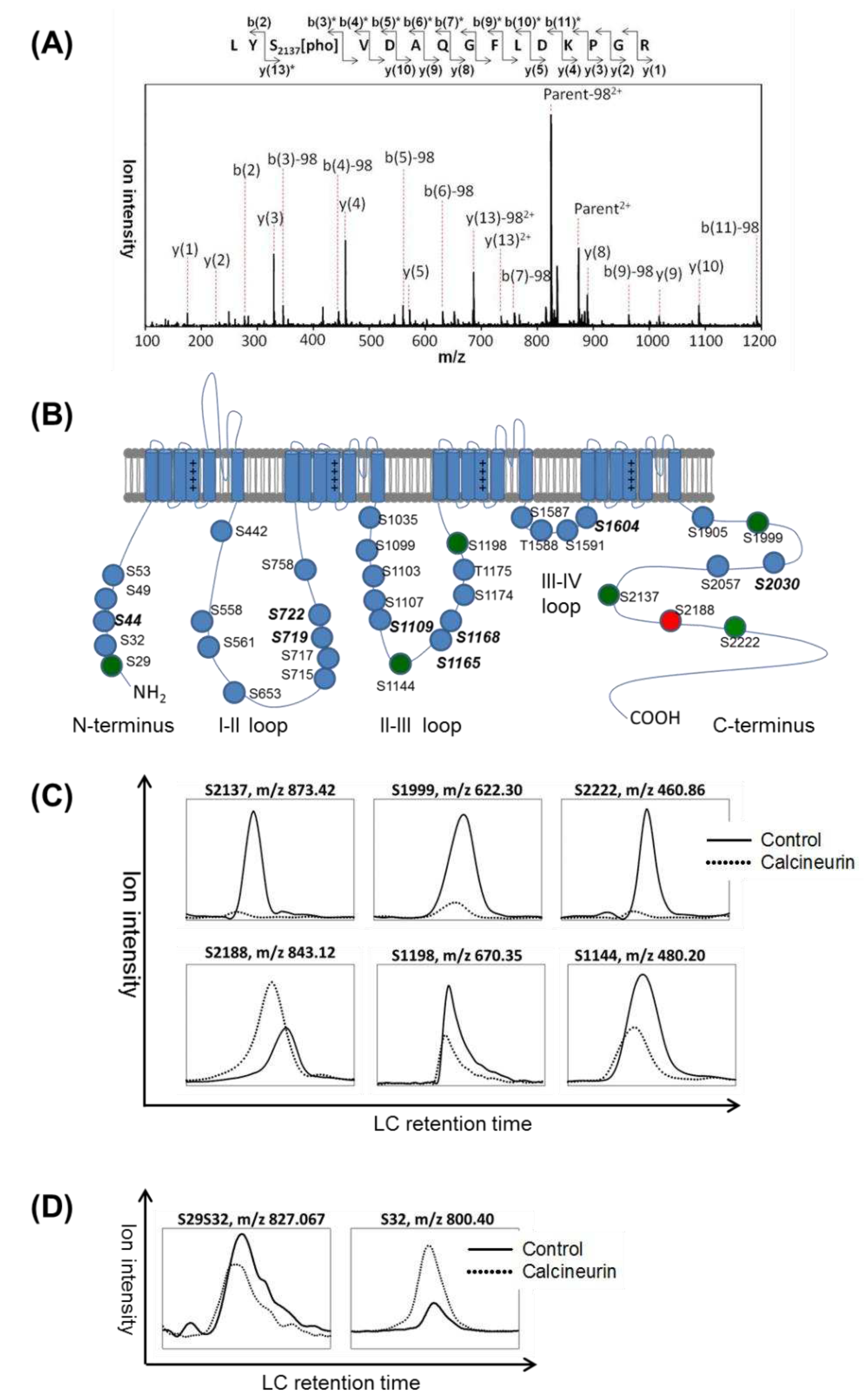 Preprints 88200 g001