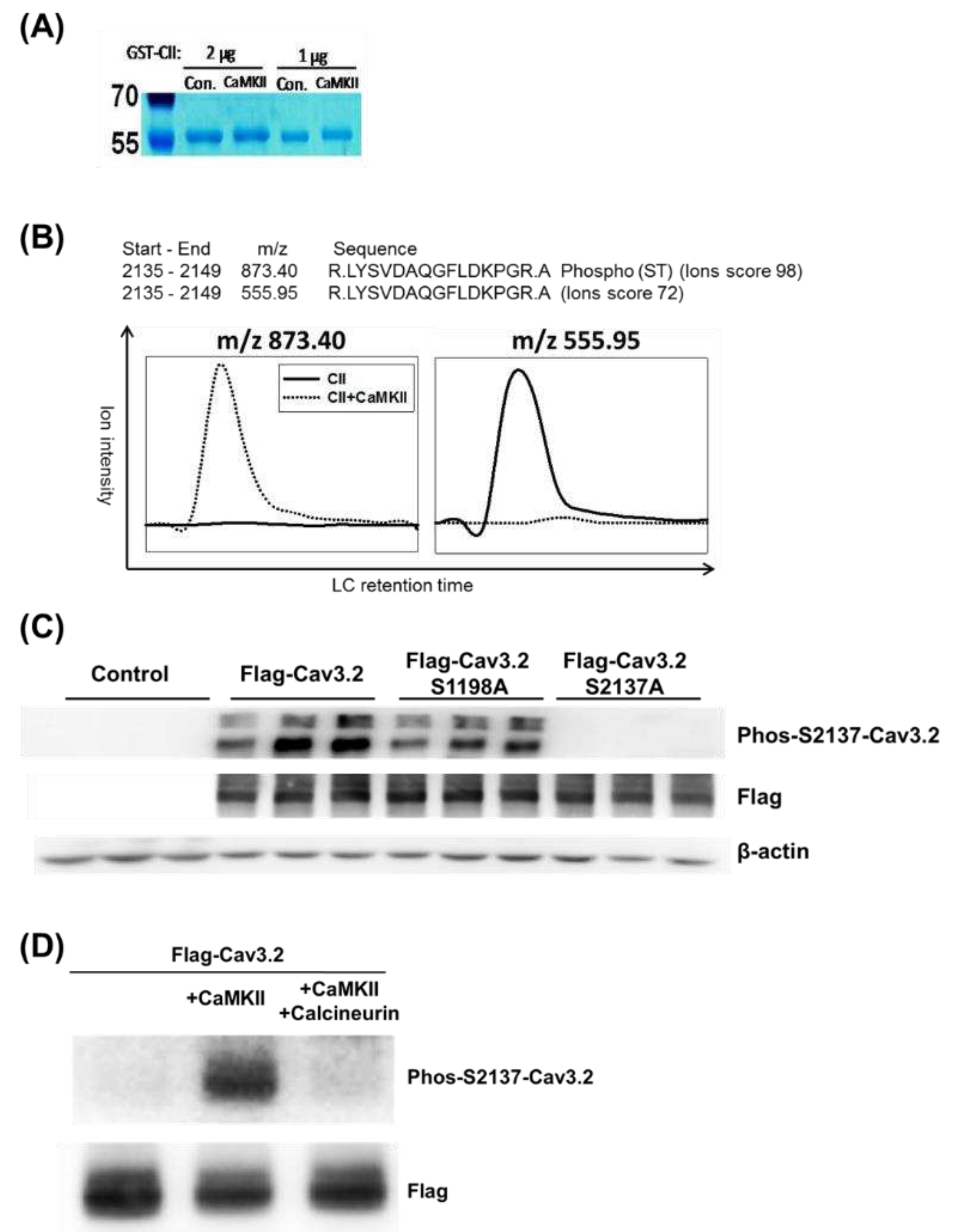 Preprints 88200 g003