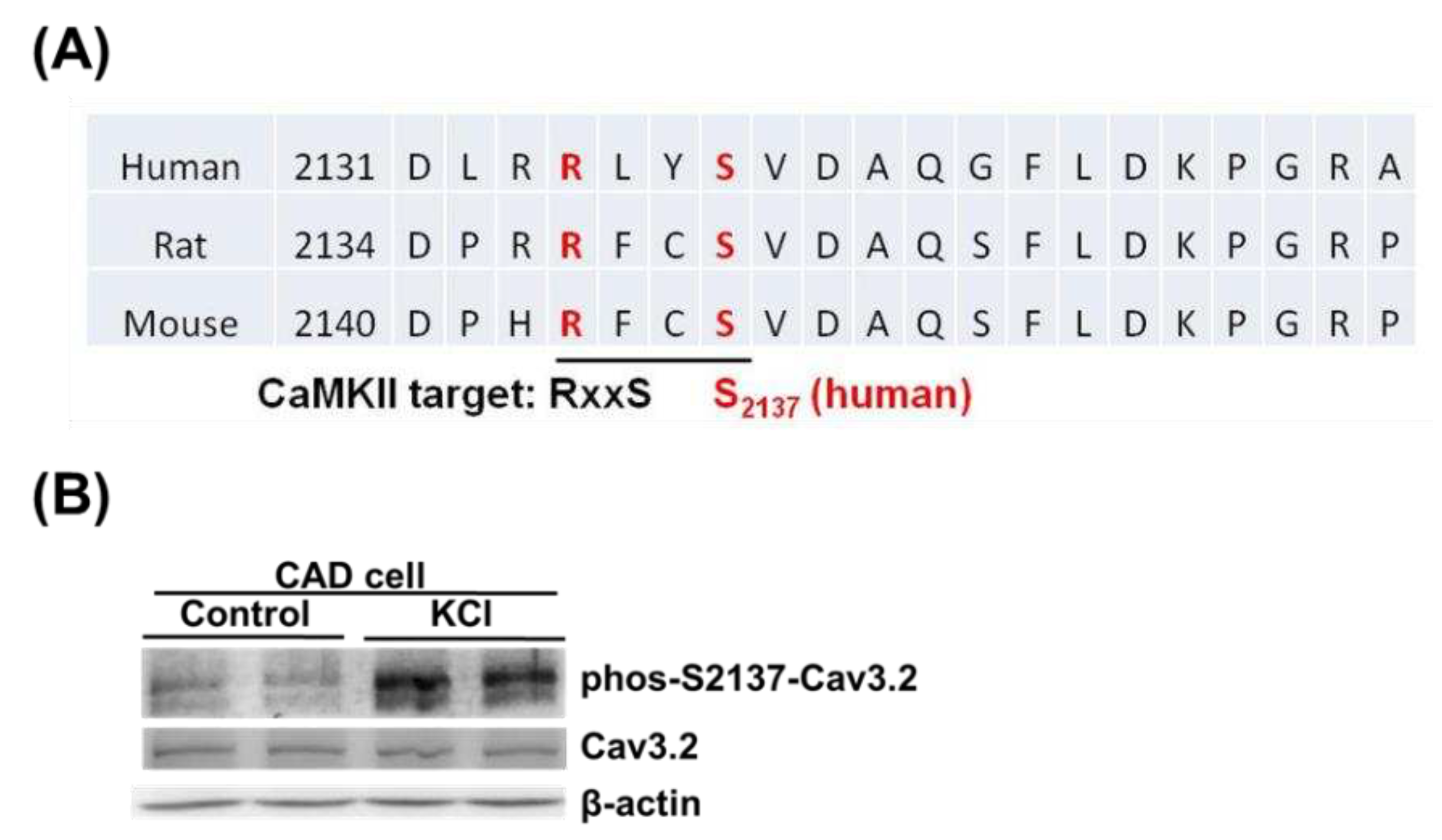 Preprints 88200 g004