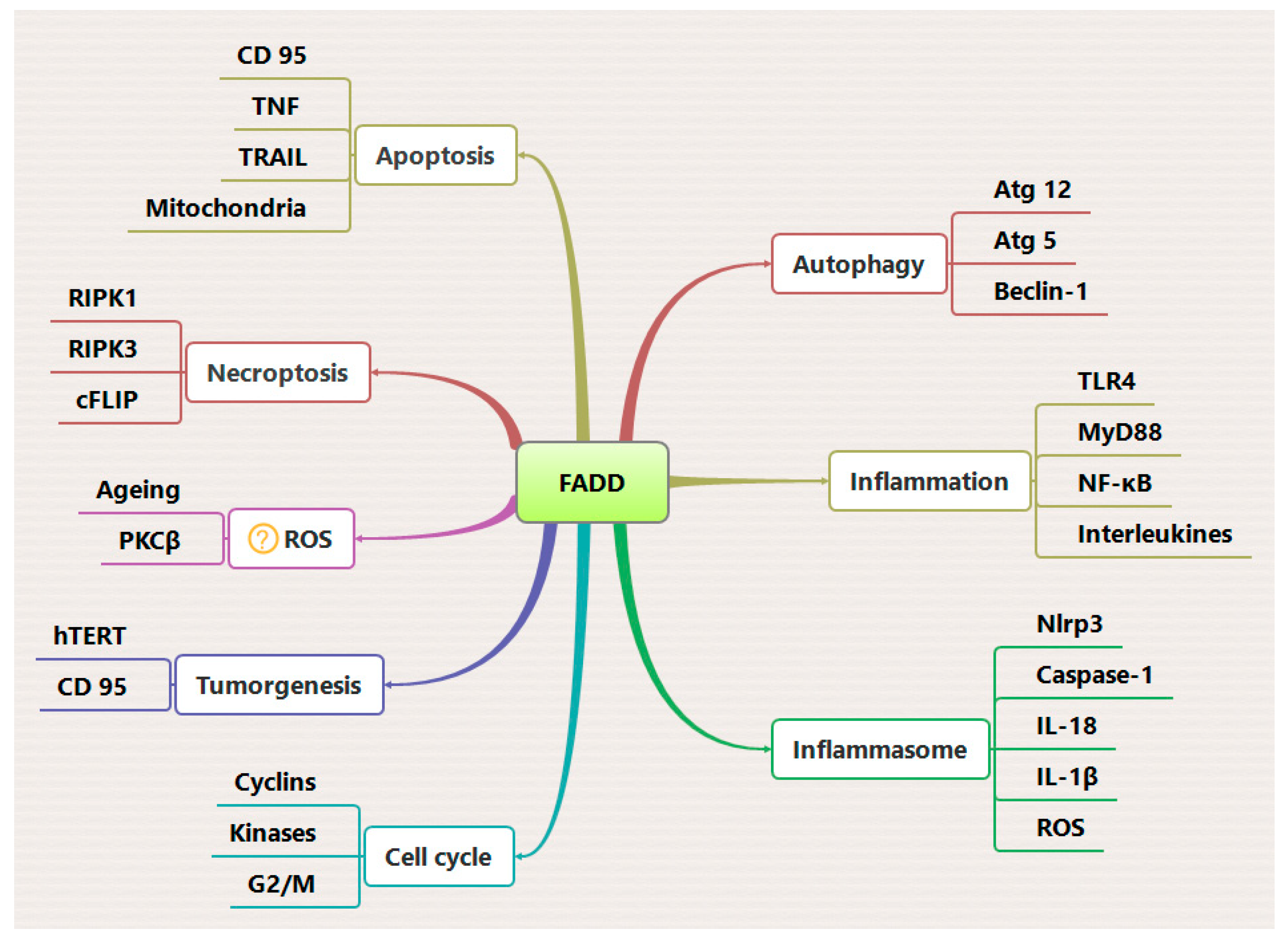 Preprints 94704 g004