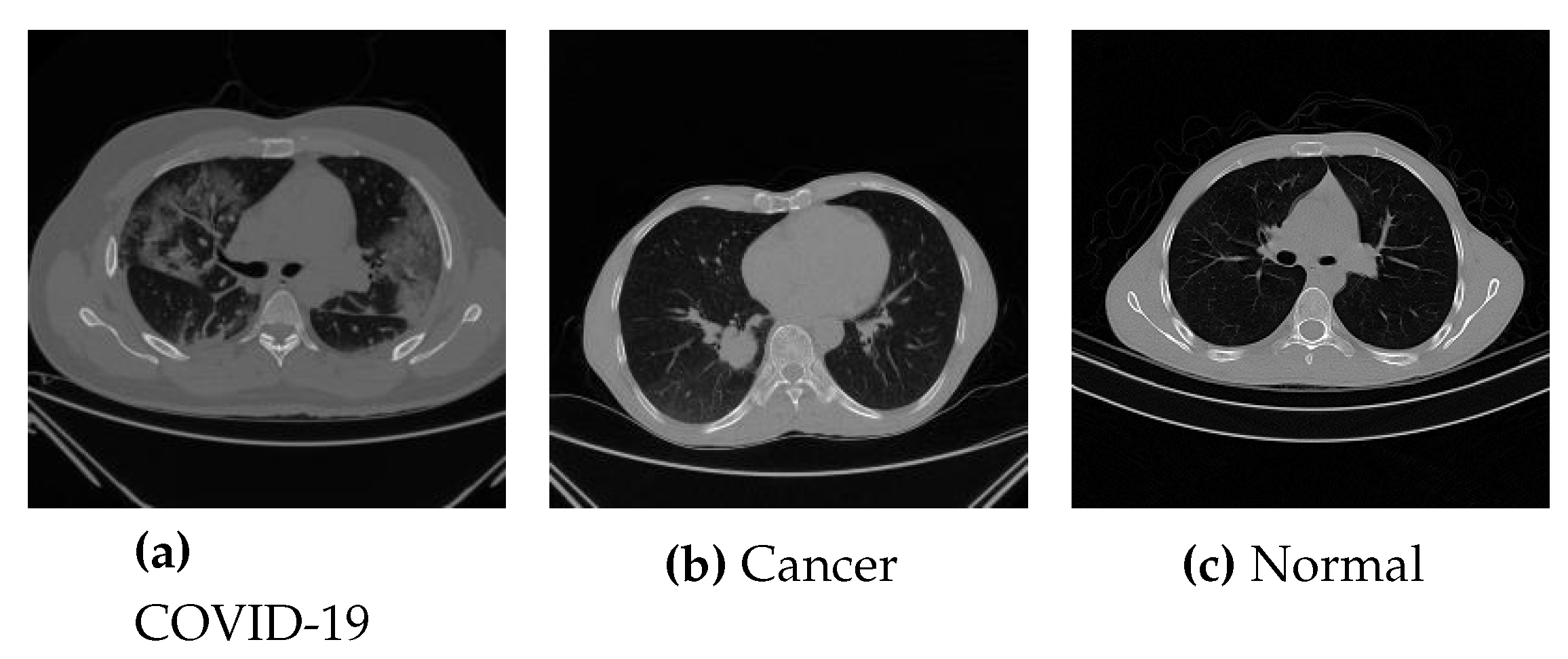 Preprints 76158 g002