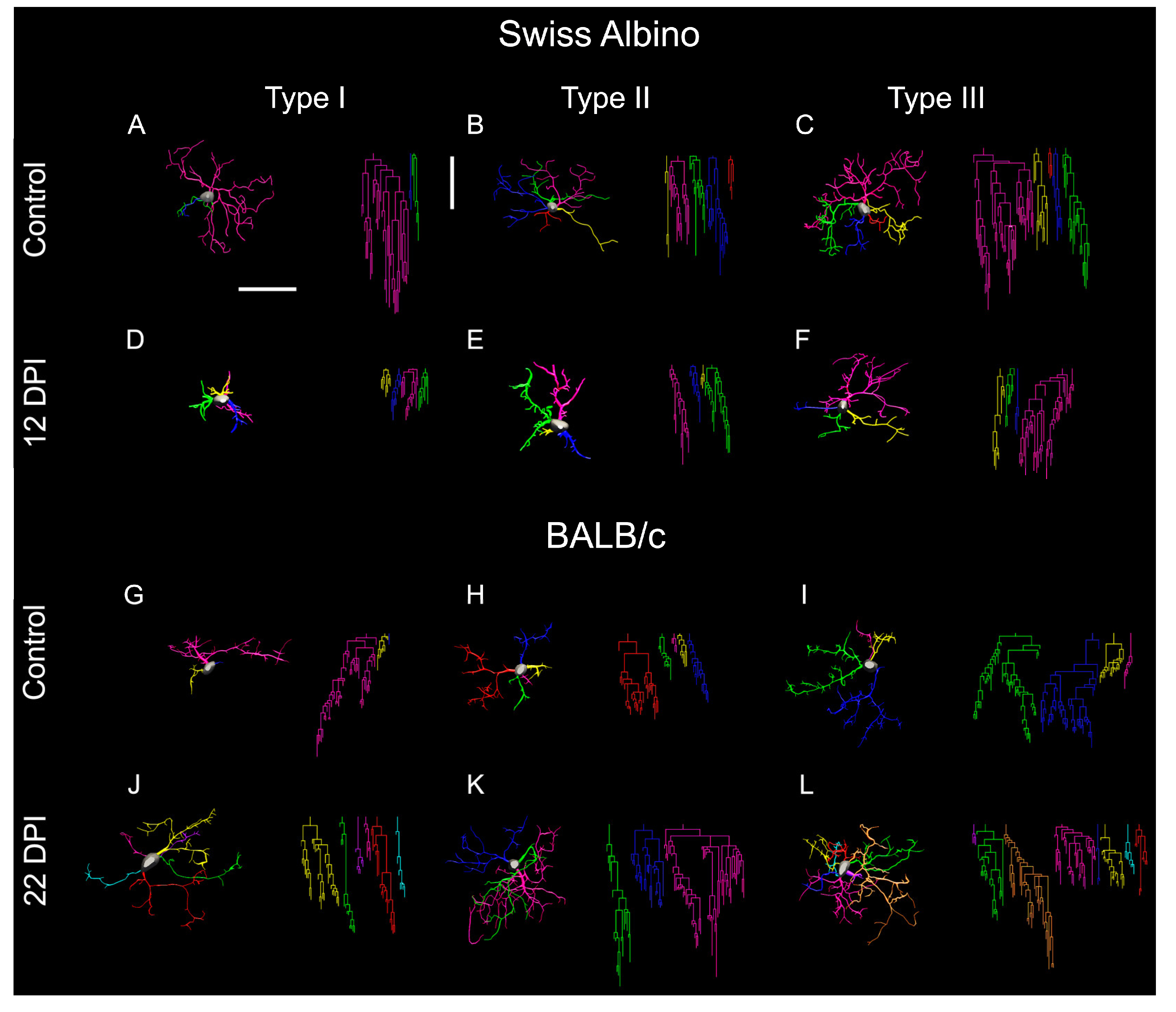 Preprints 104321 g006